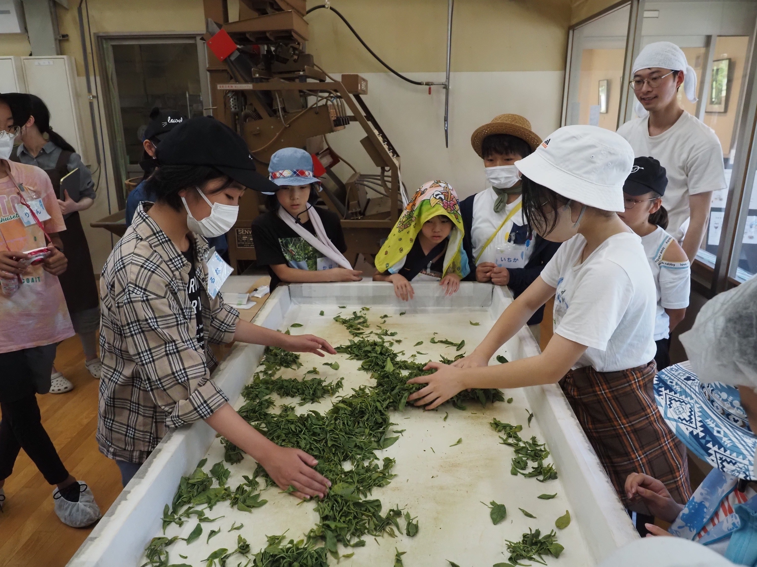 2番目のメイン画像