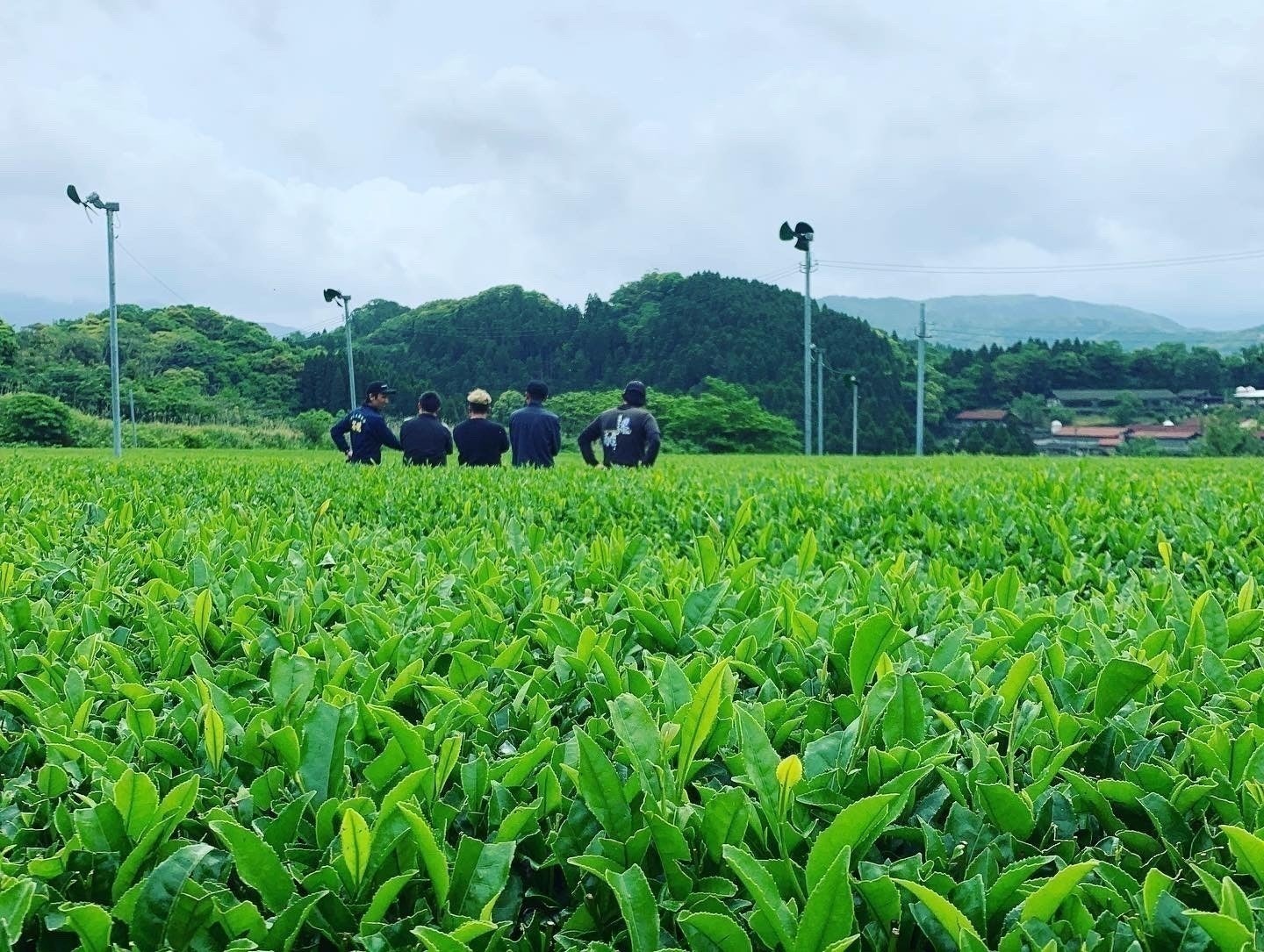 5番目のメイン画像