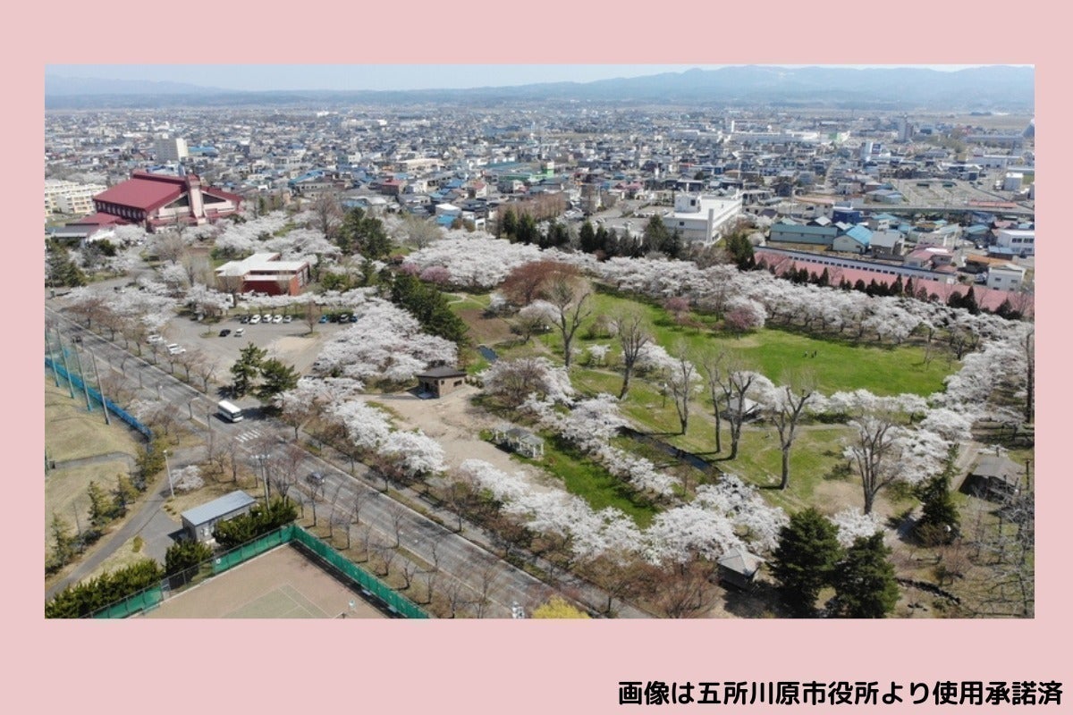 5番目のメイン画像