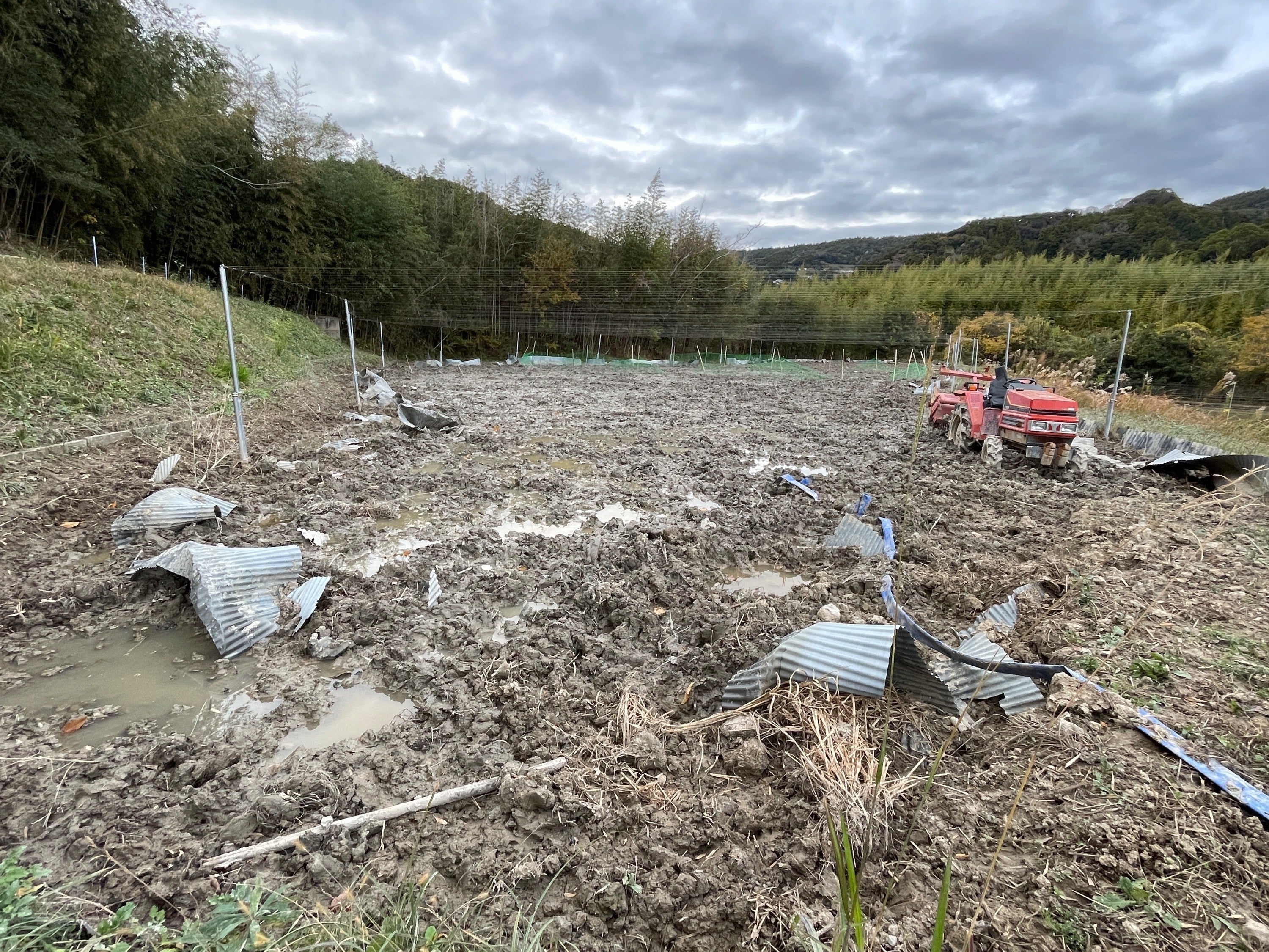 3番目のメイン画像