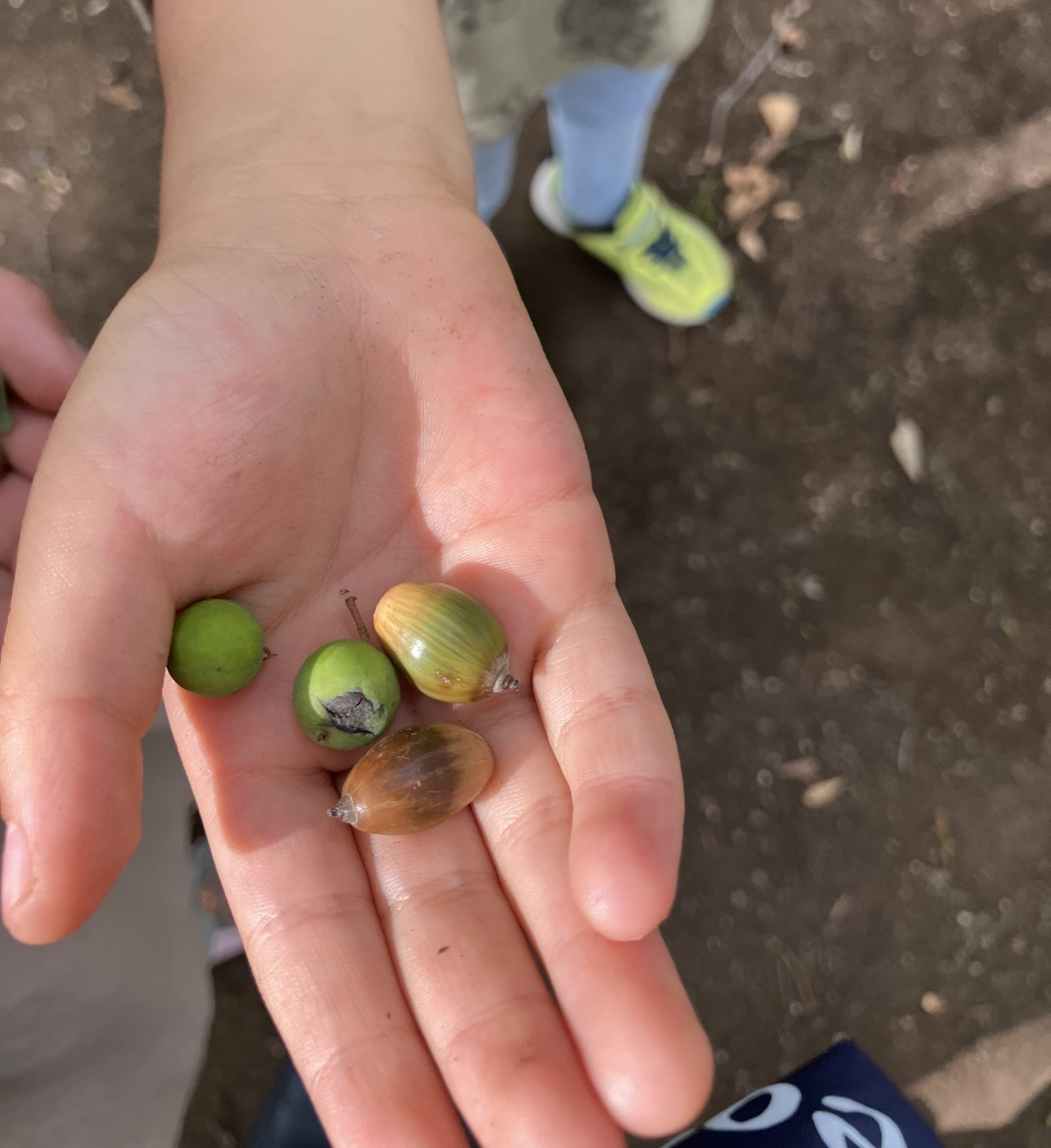 5番目のメイン画像