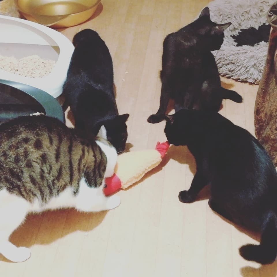 5番目のメイン画像