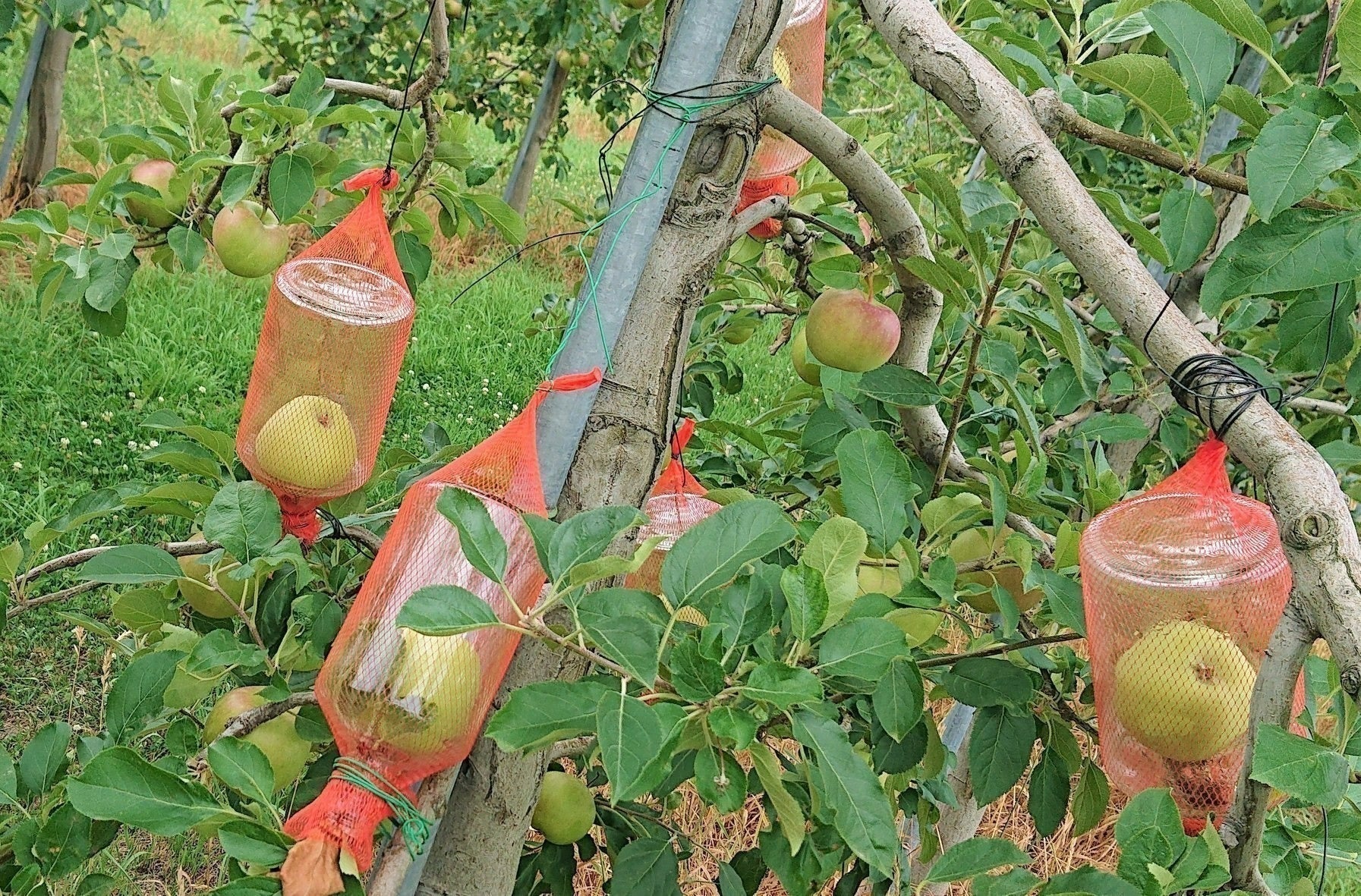 4番目のメイン画像