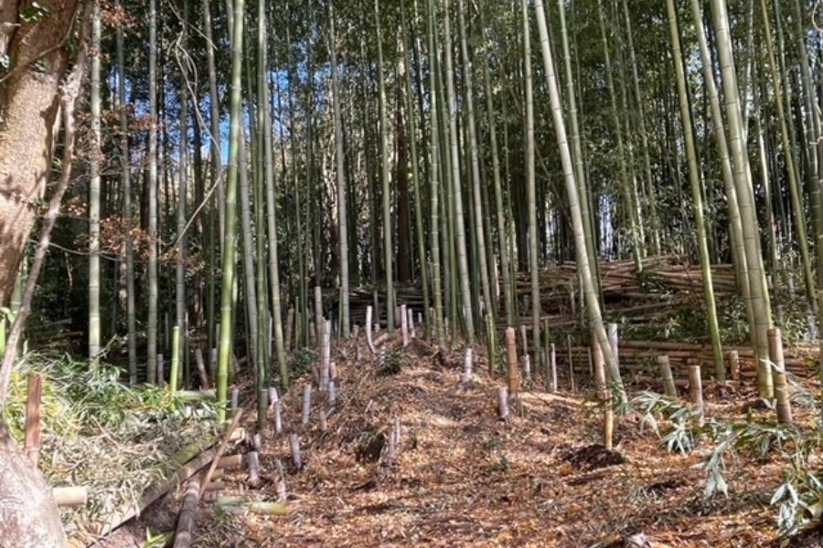 1番目のメイン画像