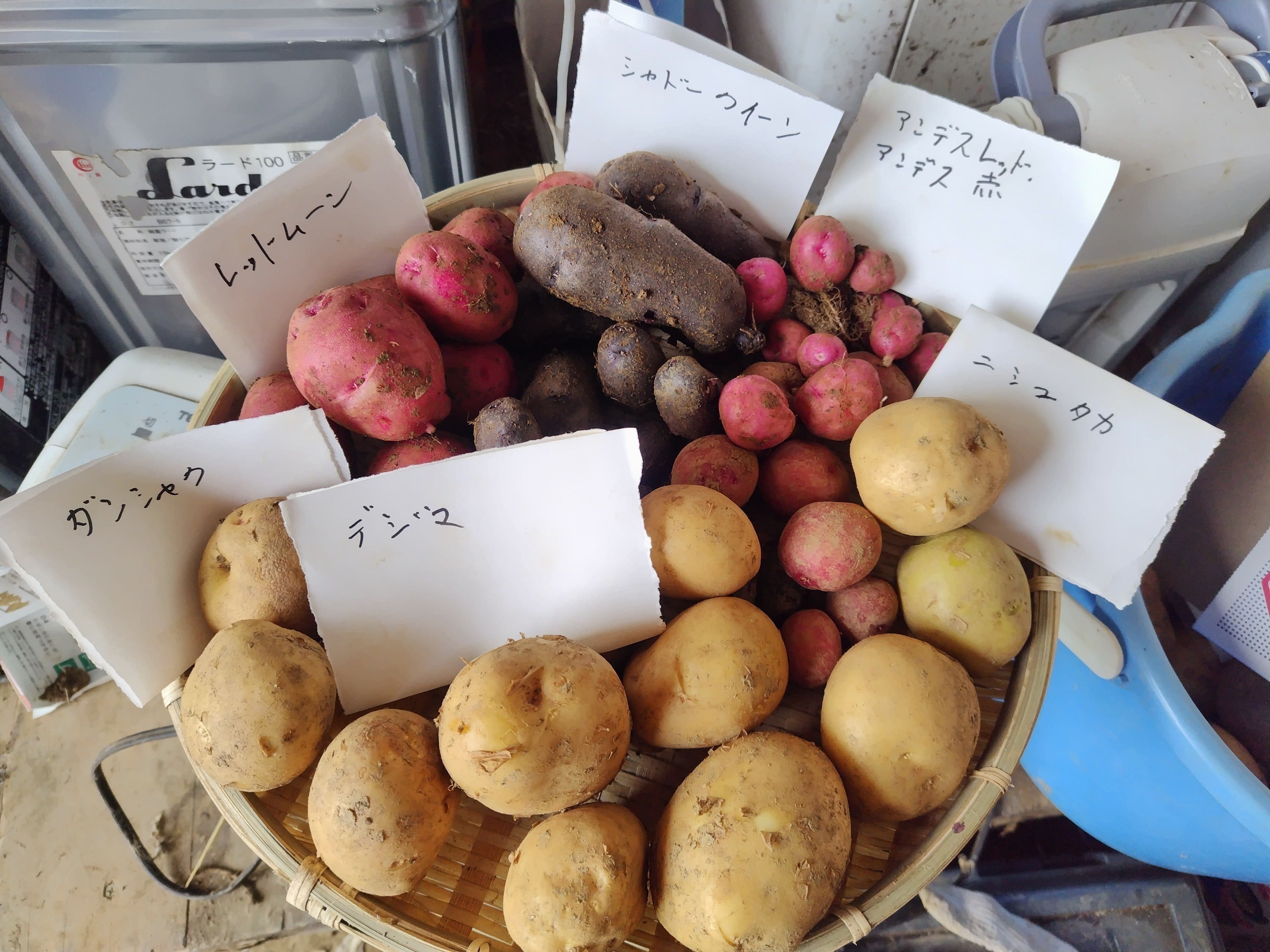 3番目のメイン画像