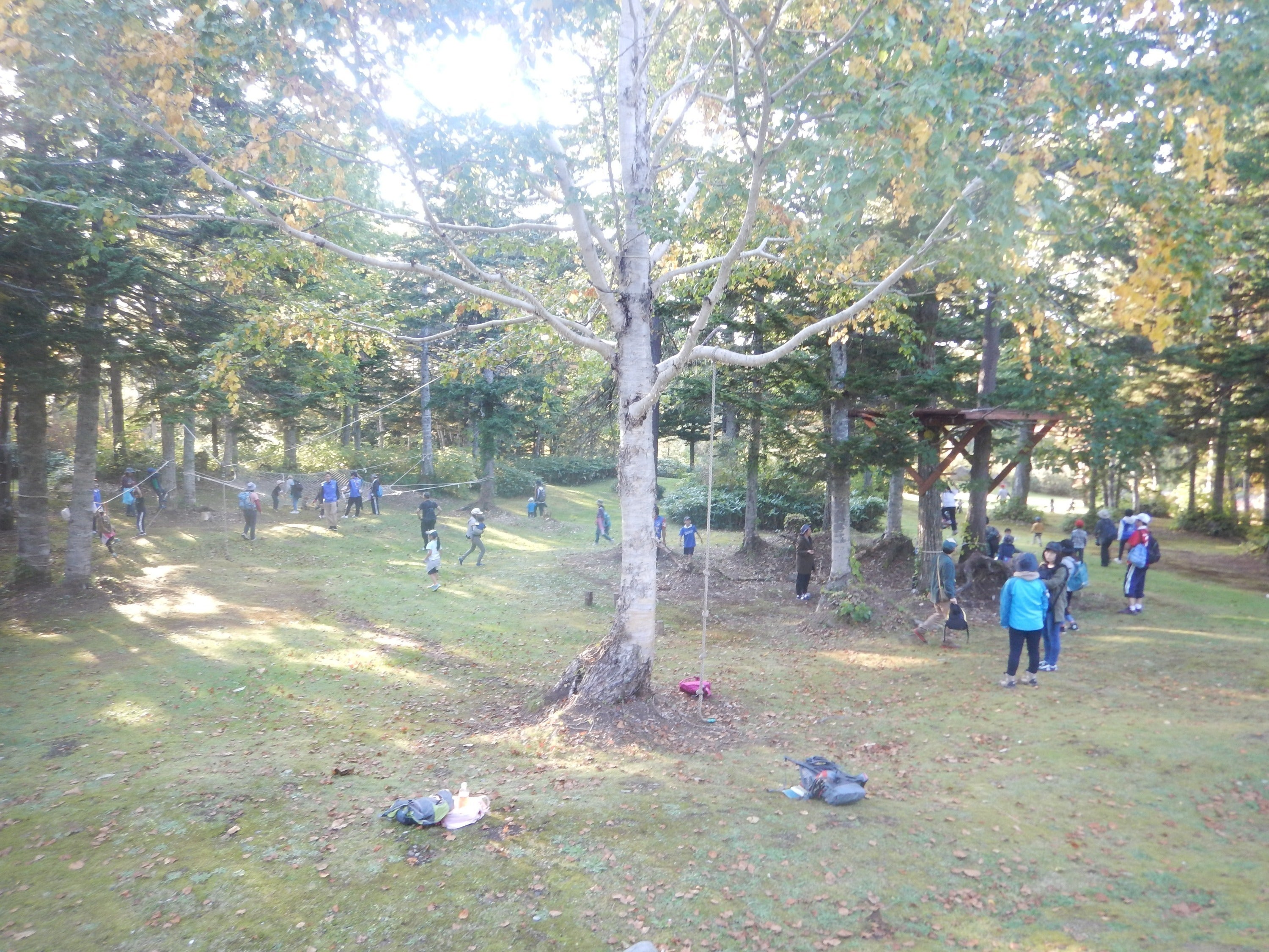 3番目のメイン画像