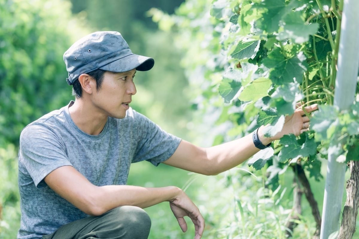 3番目のメイン画像