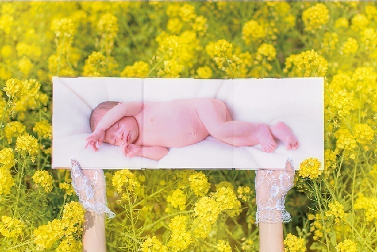 3番目のメイン画像