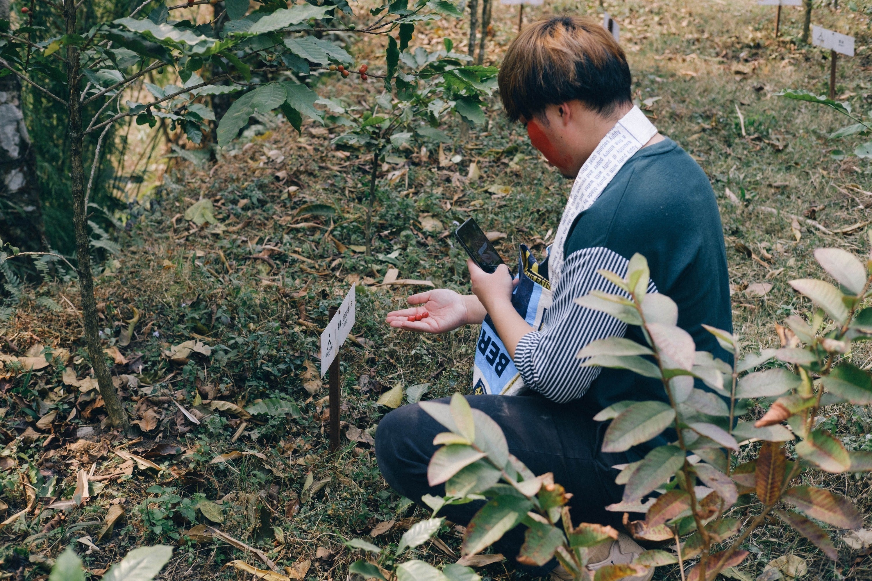 4番目のメイン画像