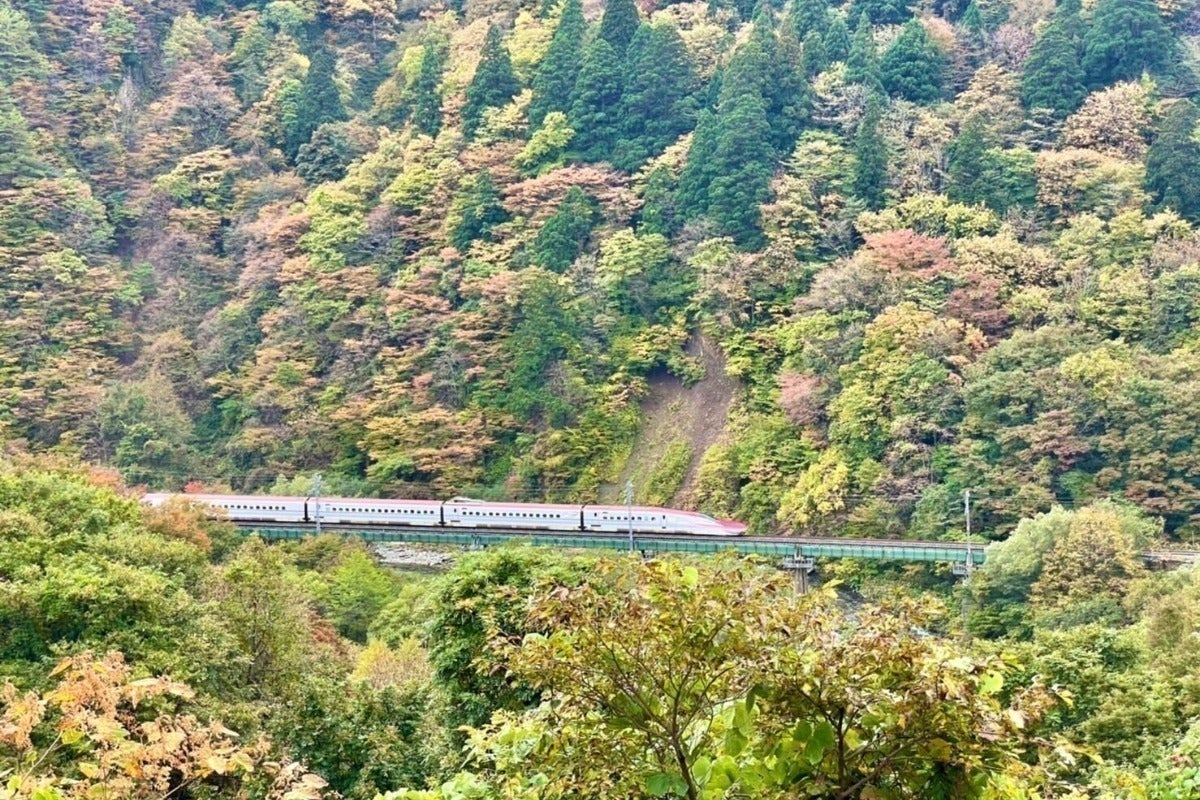 5番目のメイン画像