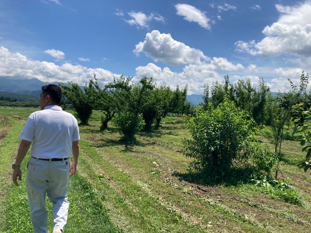 4番目のメイン画像