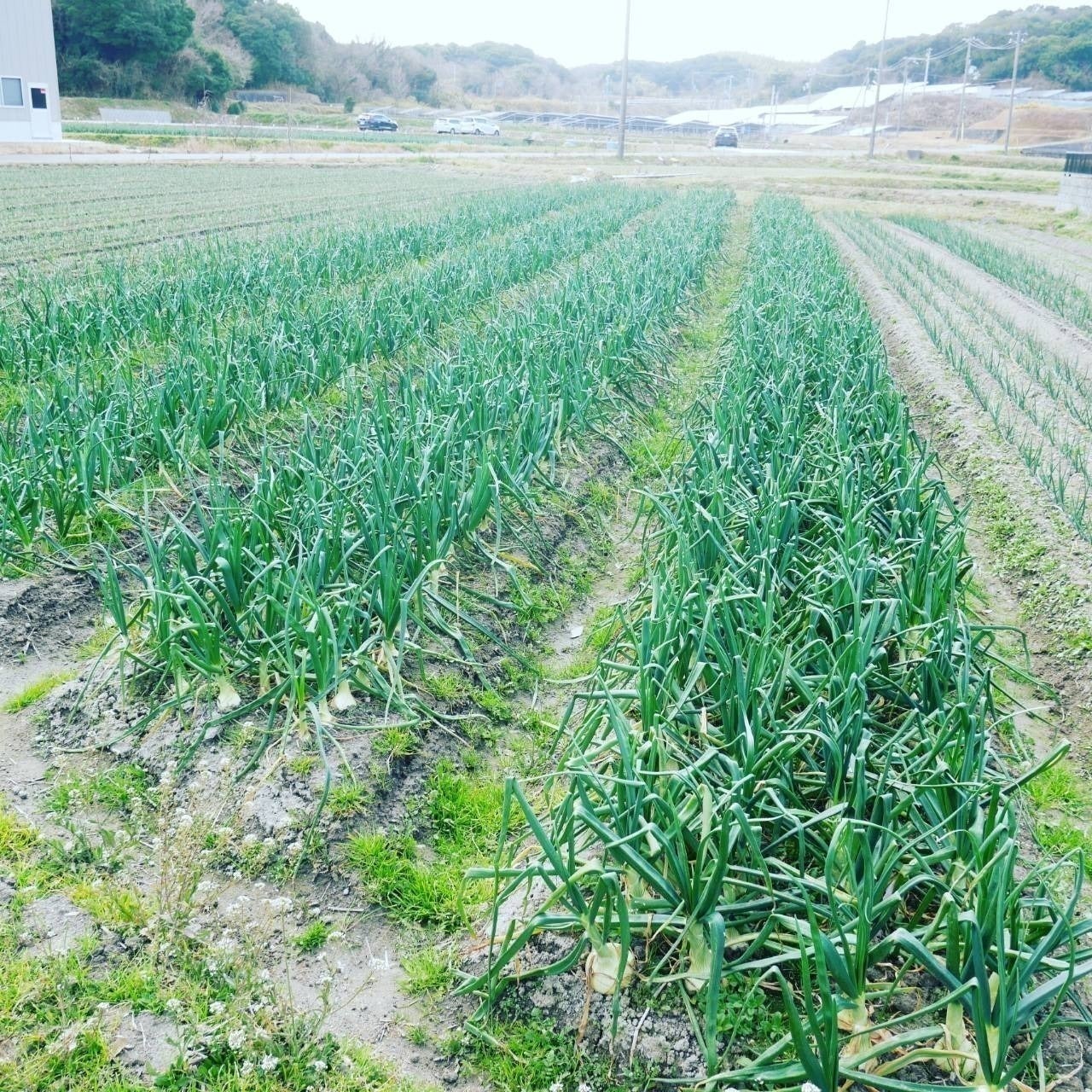 5番目のメイン画像