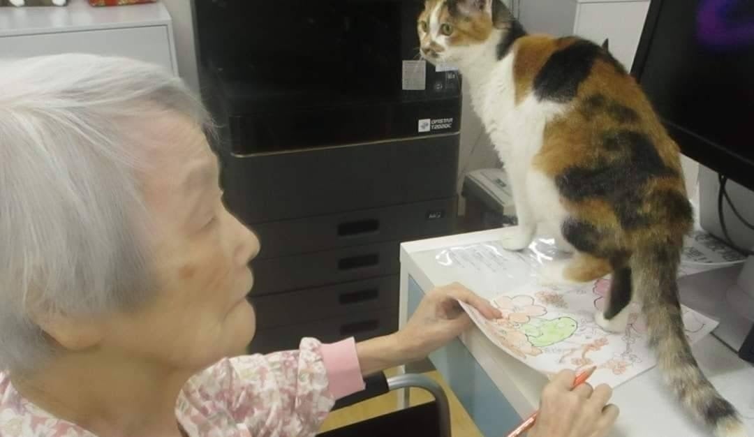 4番目のメイン画像