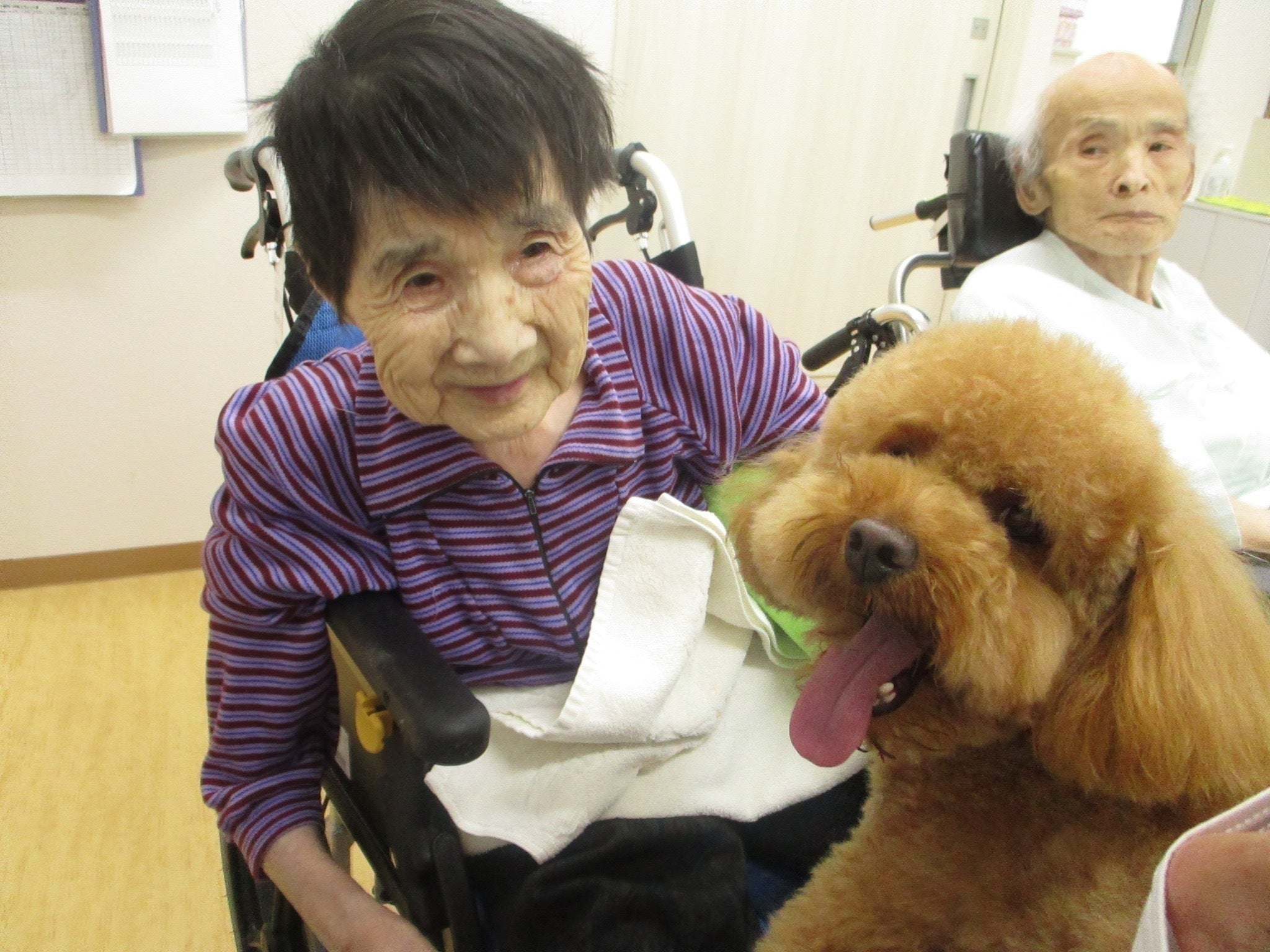 3番目のメイン画像