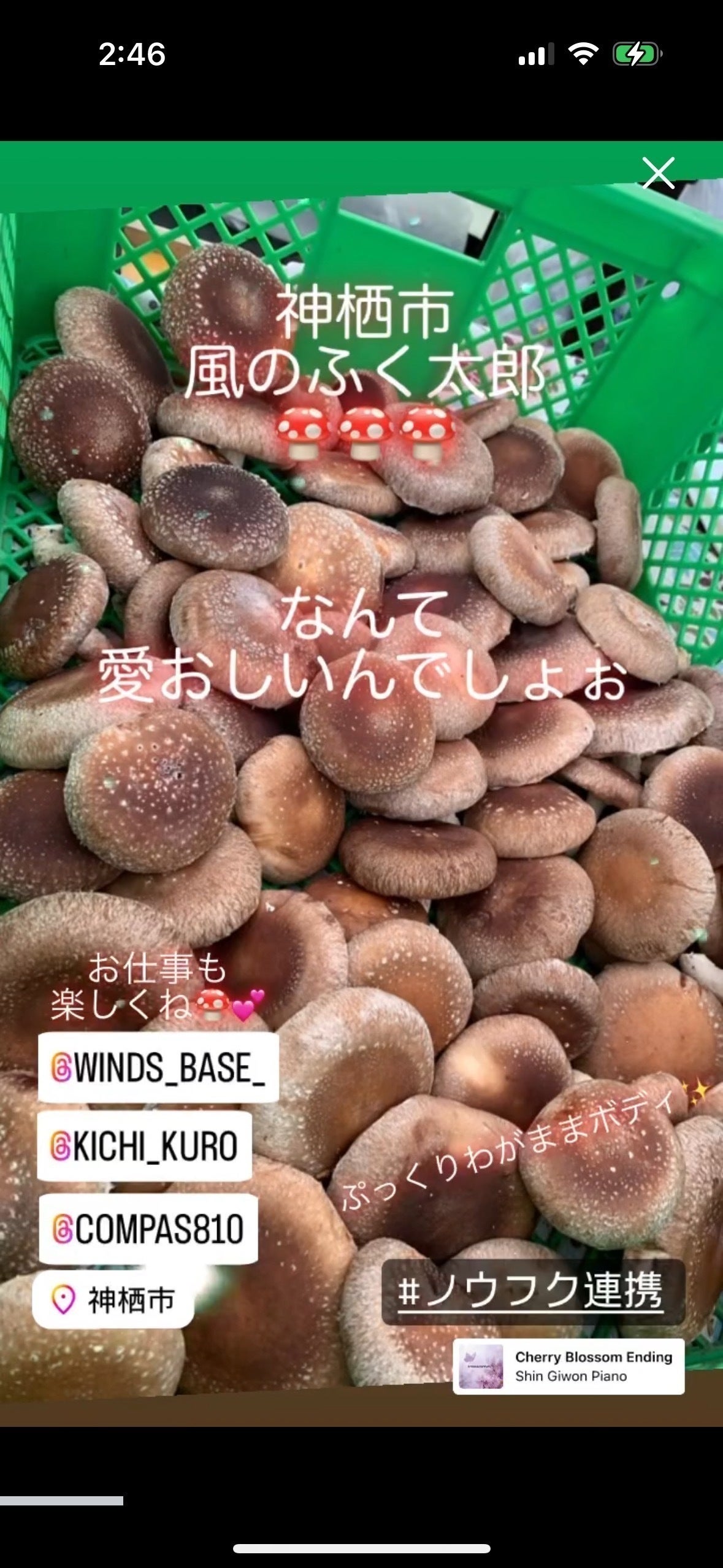 2番目のメイン画像