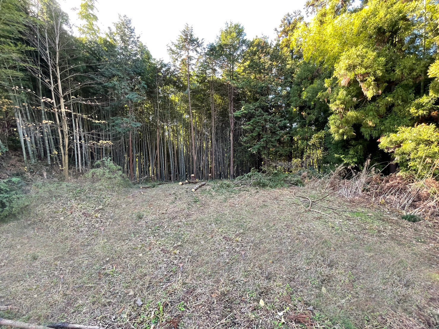 4番目のメイン画像