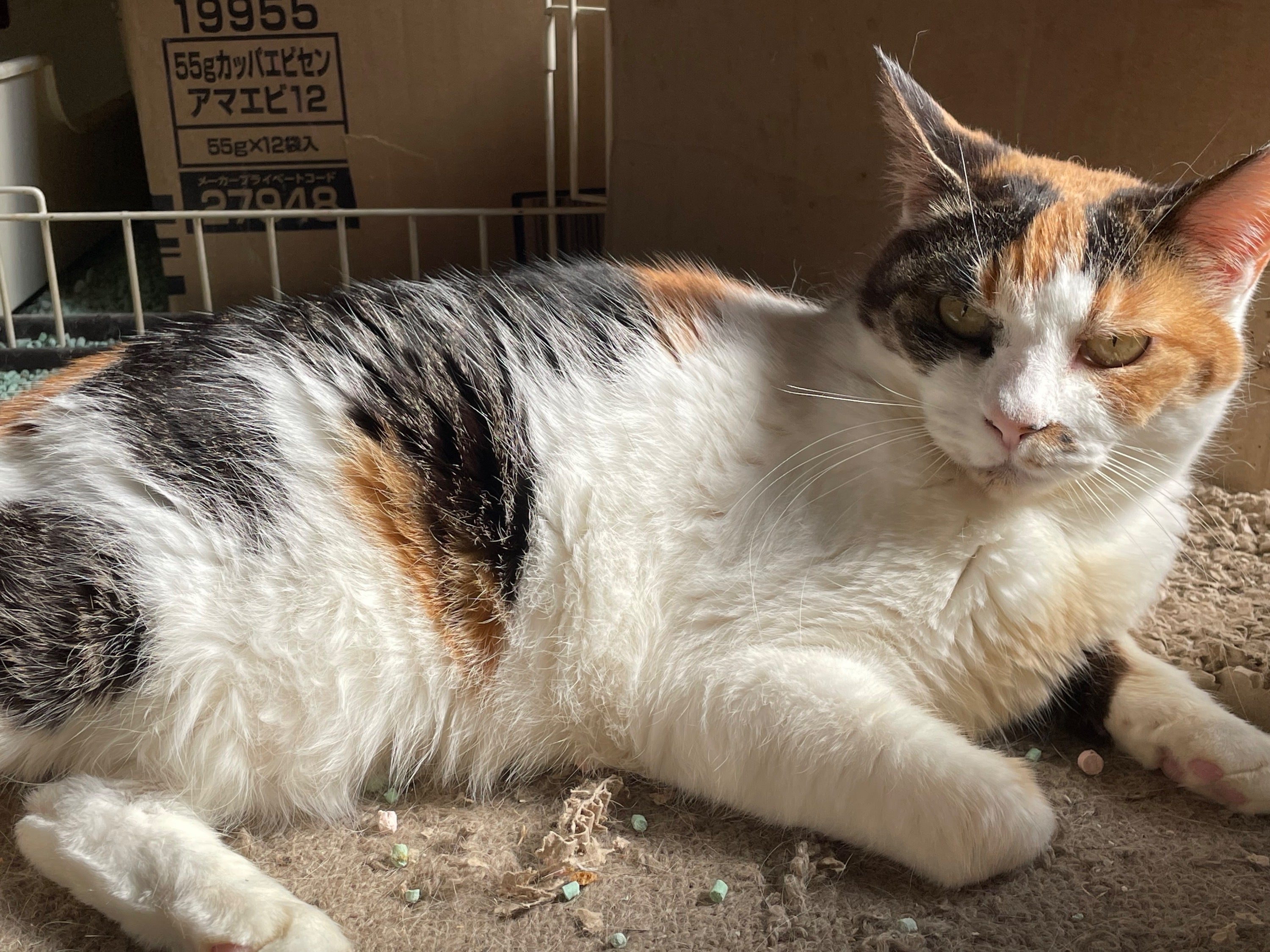 4番目のメイン画像