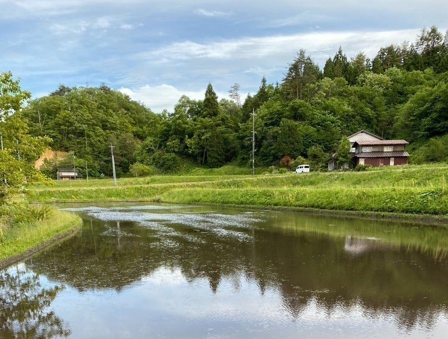 2番目のメイン画像