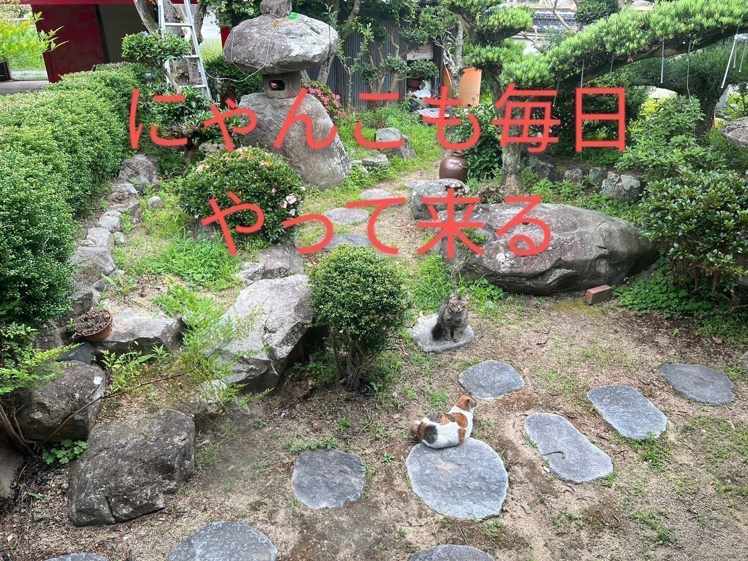 5番目のメイン画像