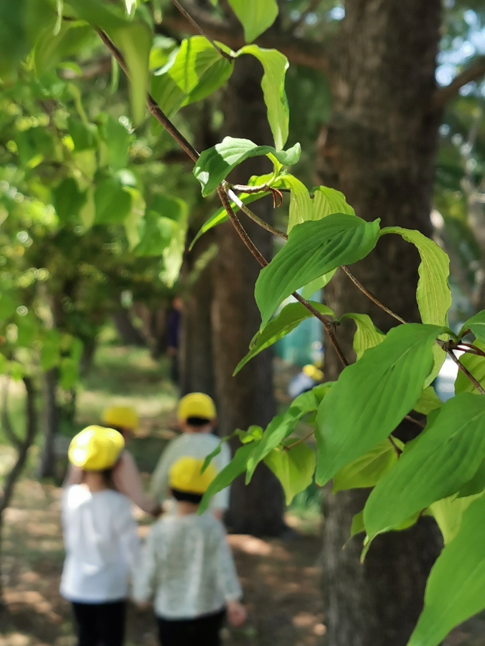 5番目のメイン画像