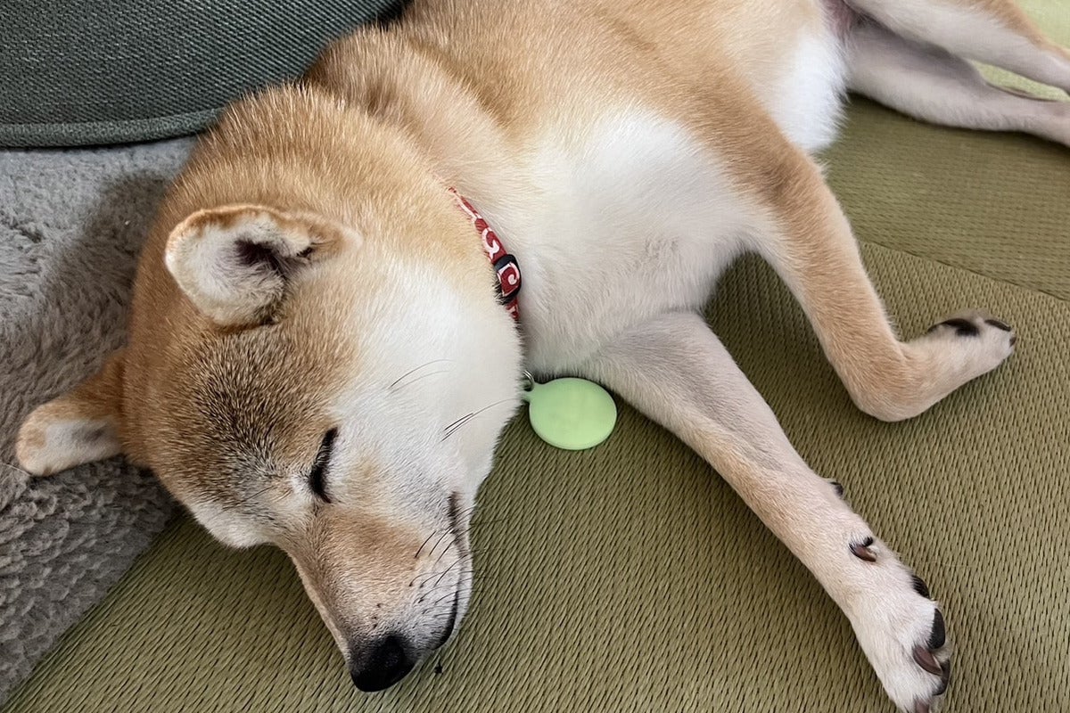 5番目のメイン画像