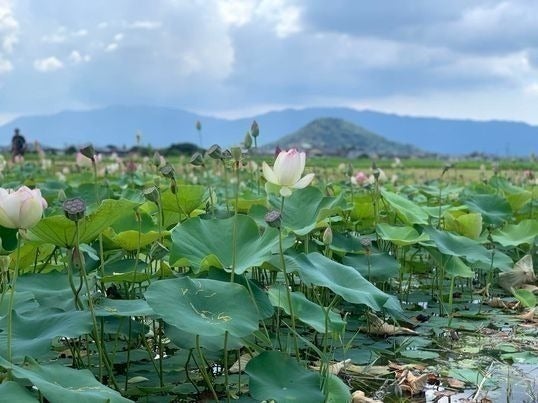 3番目のメイン画像