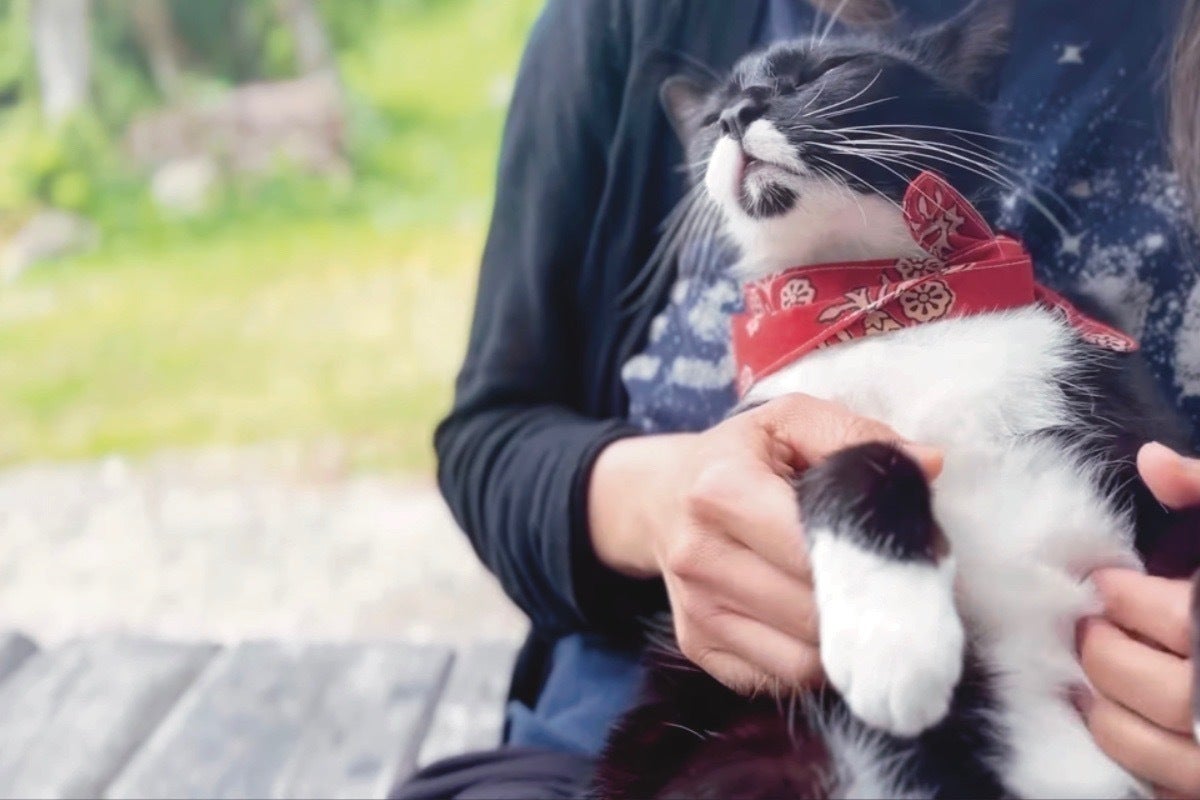 5番目のメイン画像