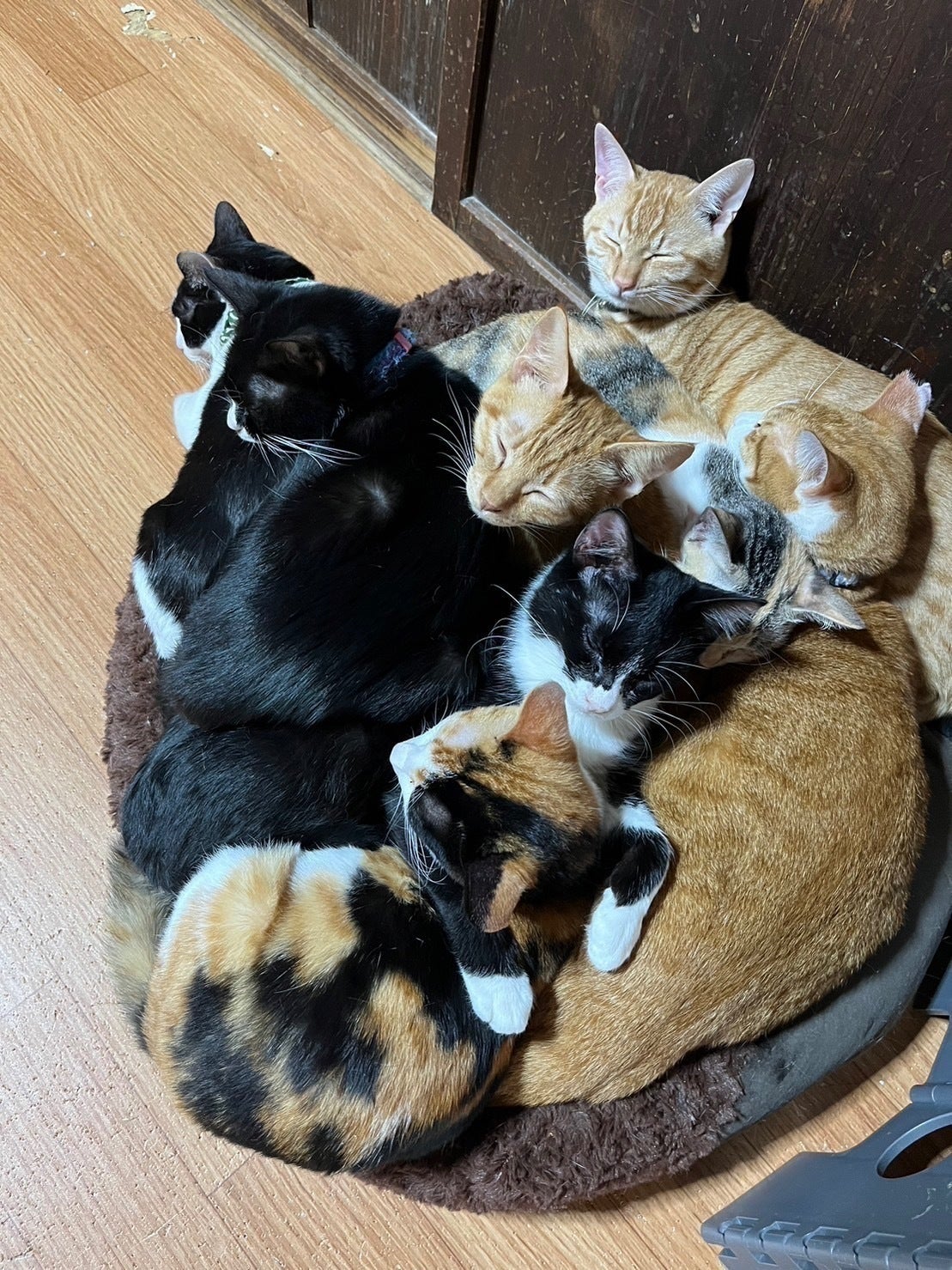 5番目のメイン画像