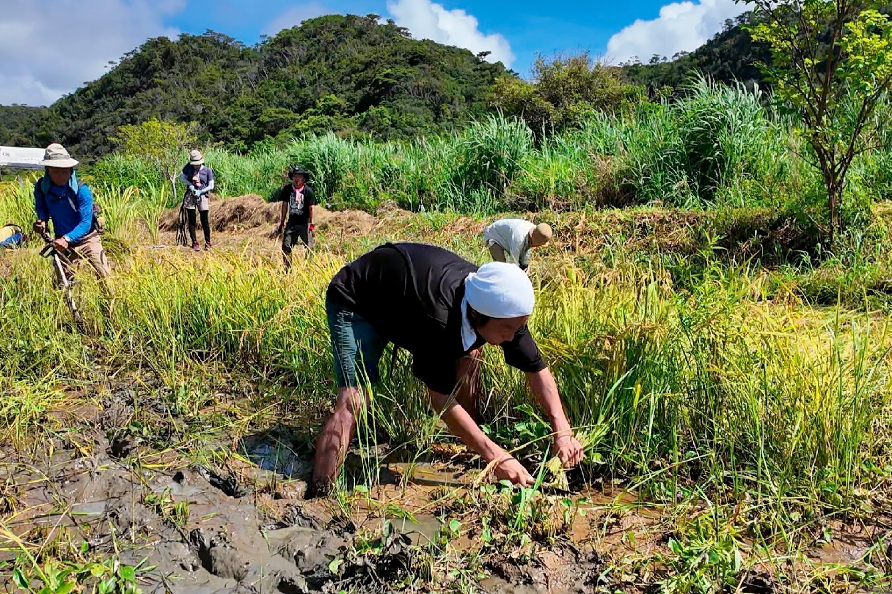 3番目のメイン画像