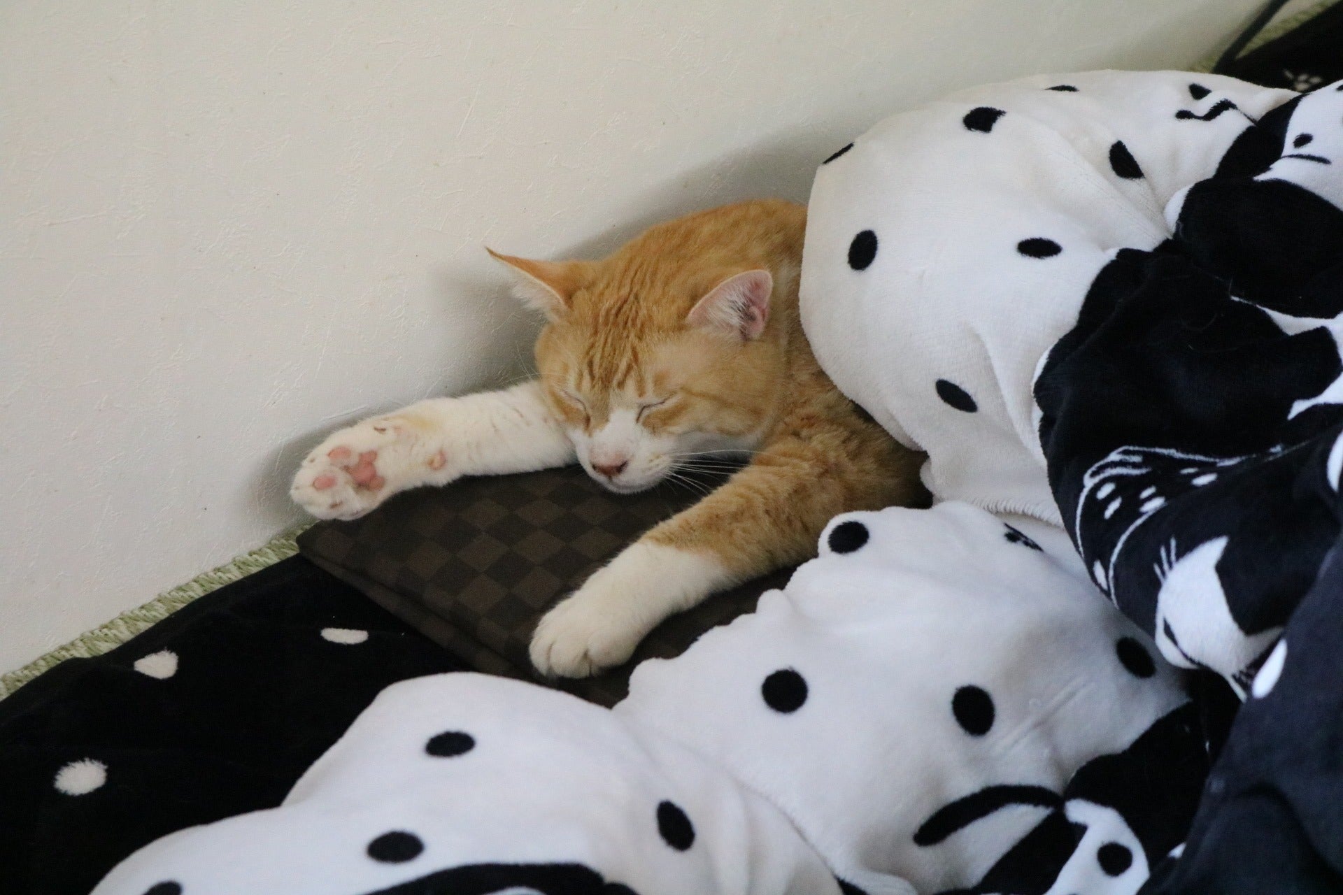 4番目のメイン画像