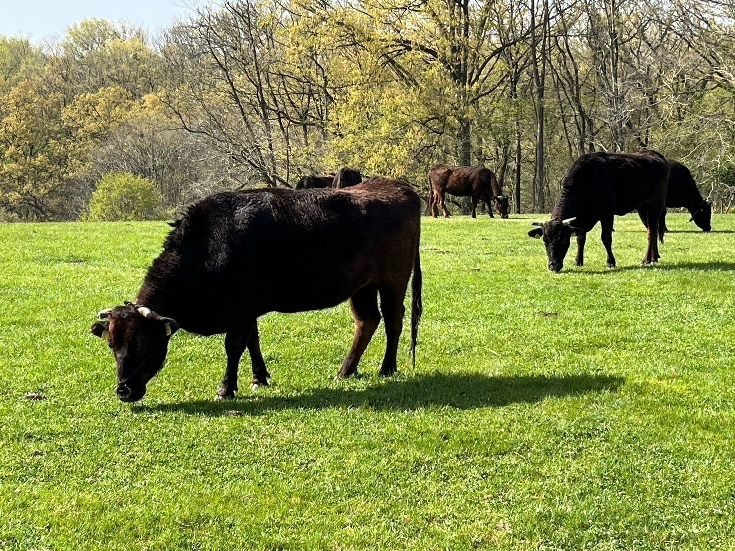 4番目のメイン画像