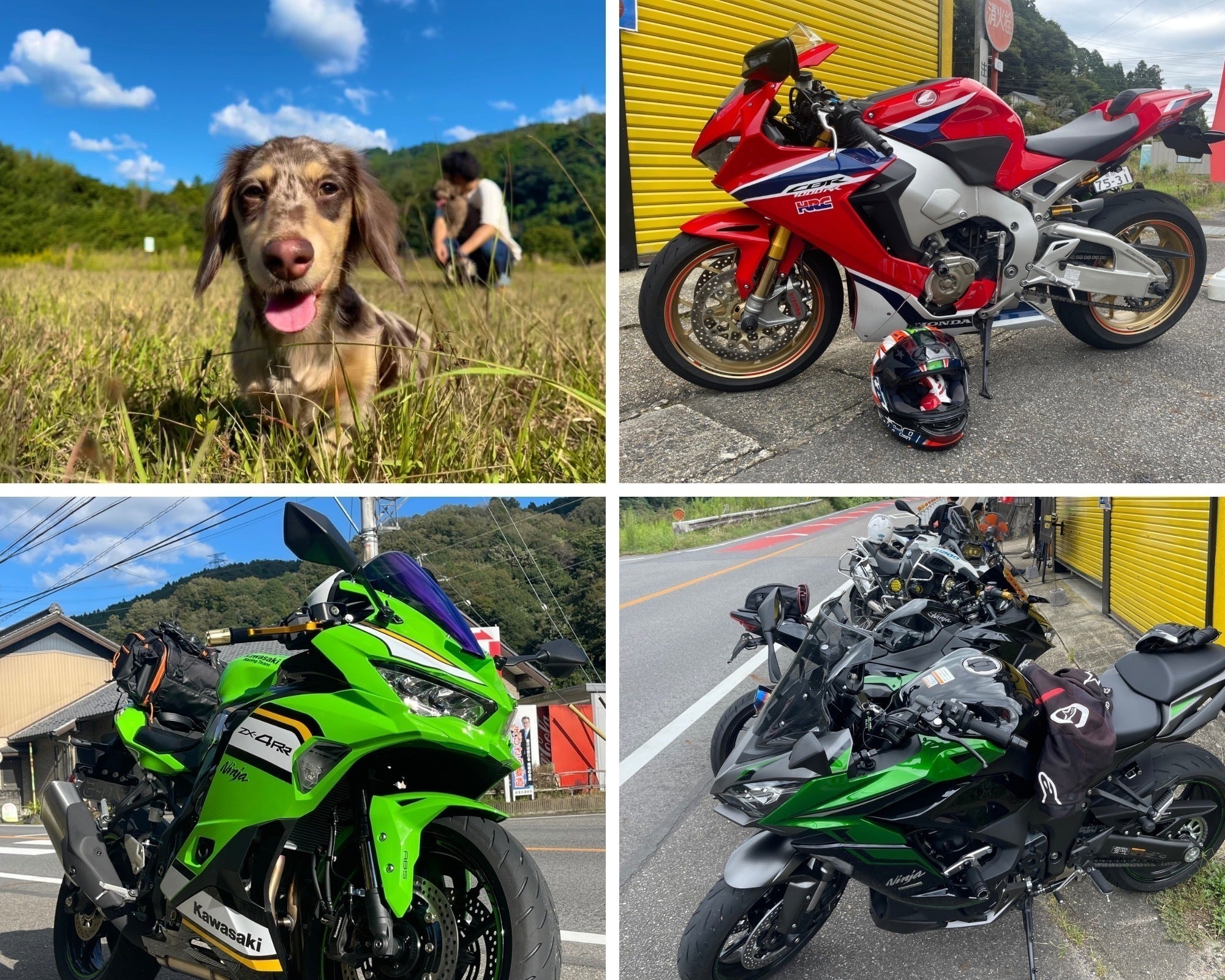 2番目のメイン画像