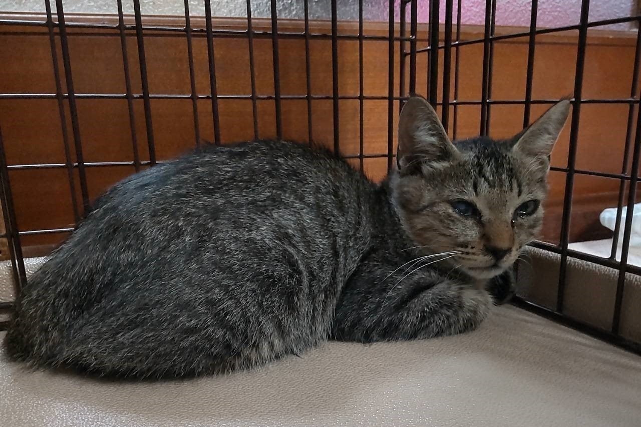 5番目のメイン画像