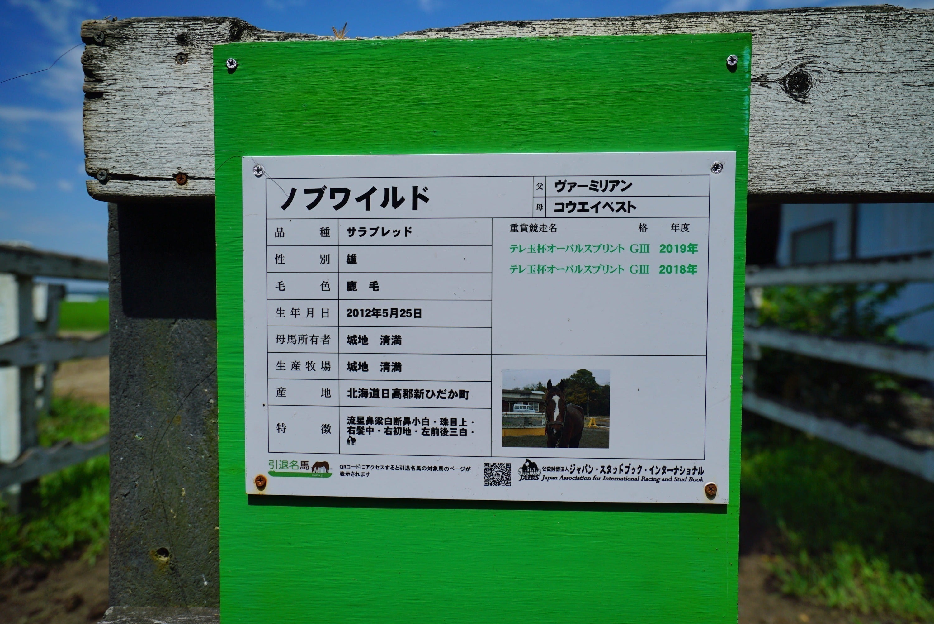 3番目のメイン画像