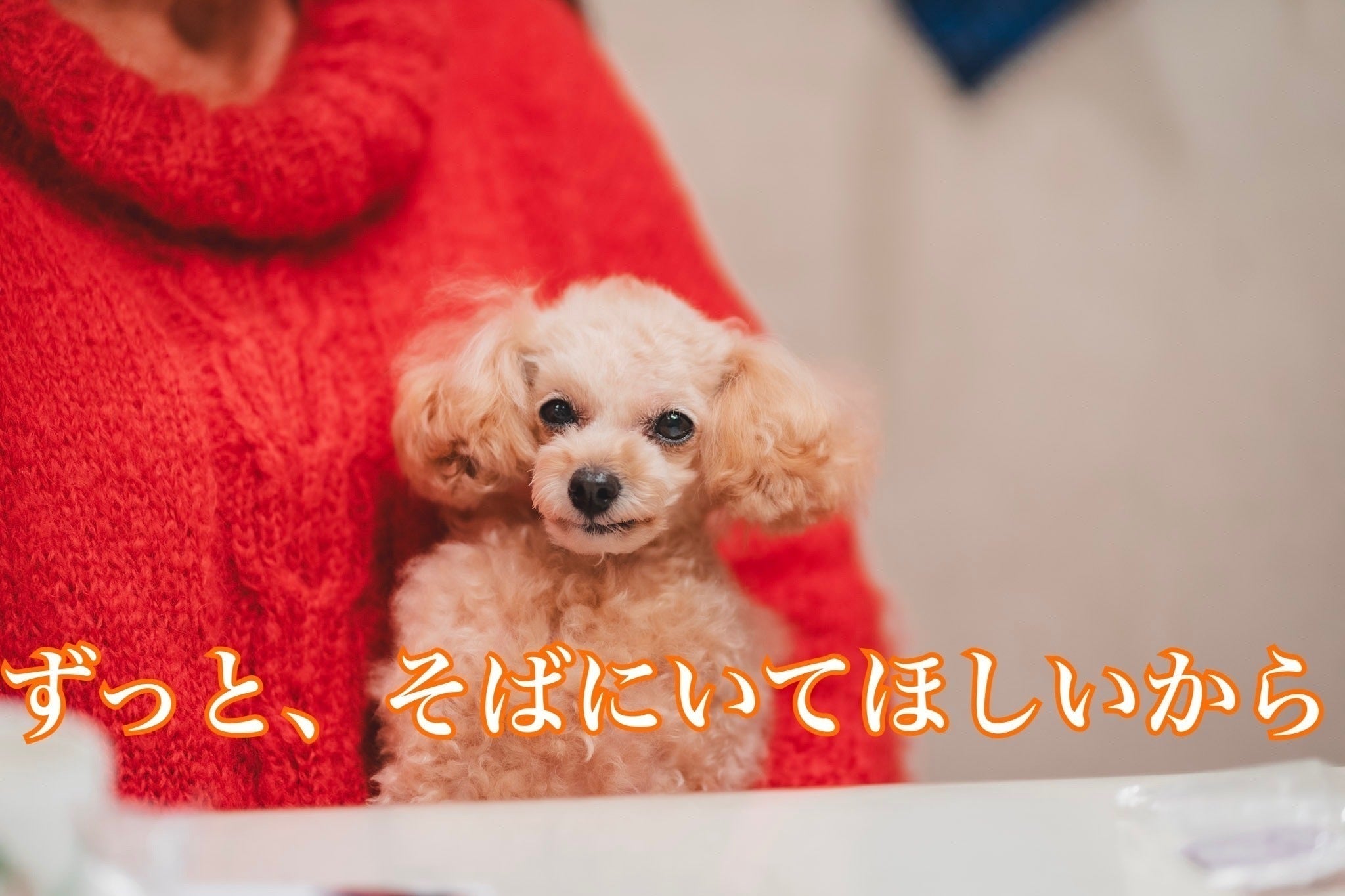 2番目のメイン画像