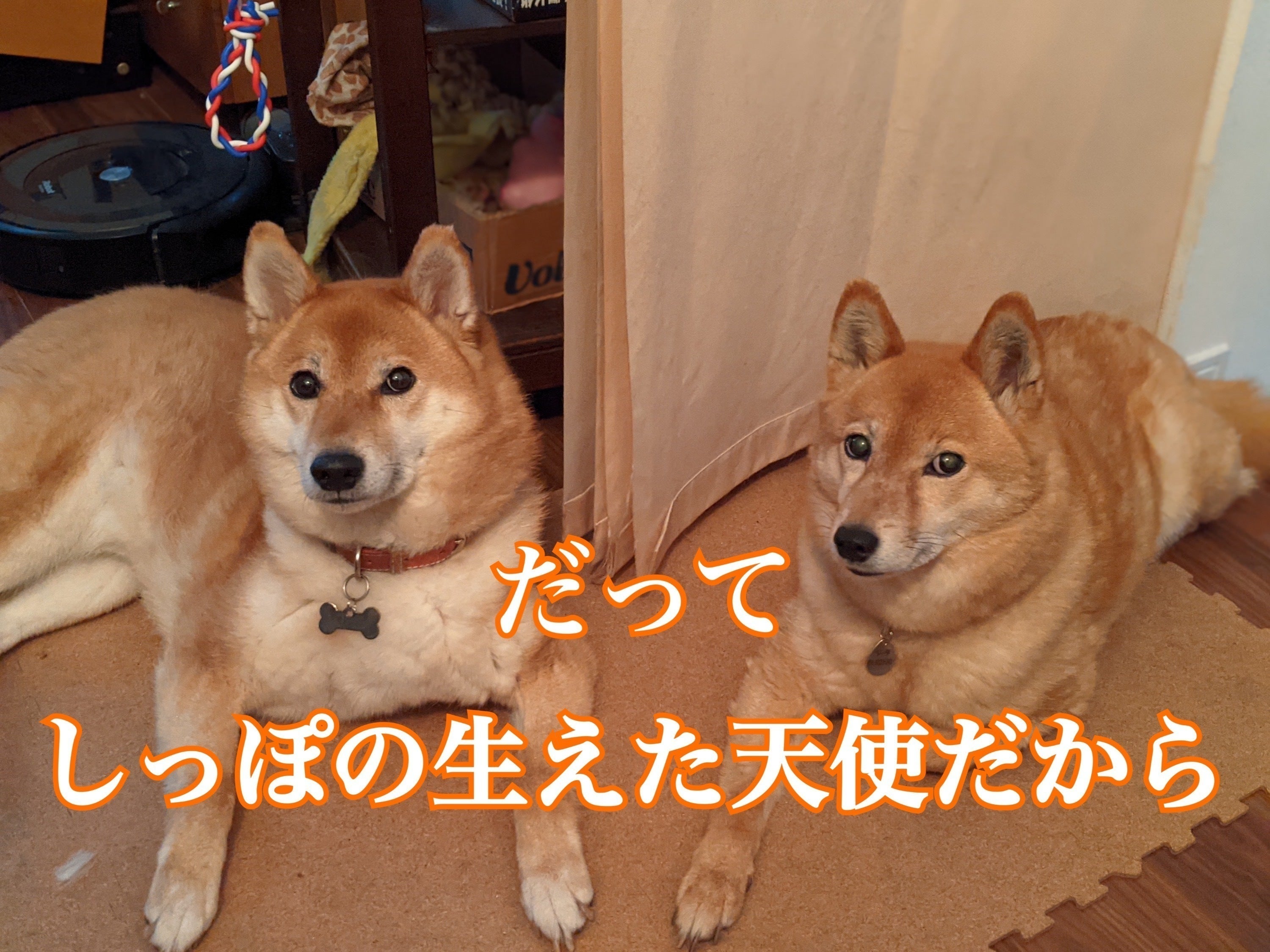 3番目のメイン画像