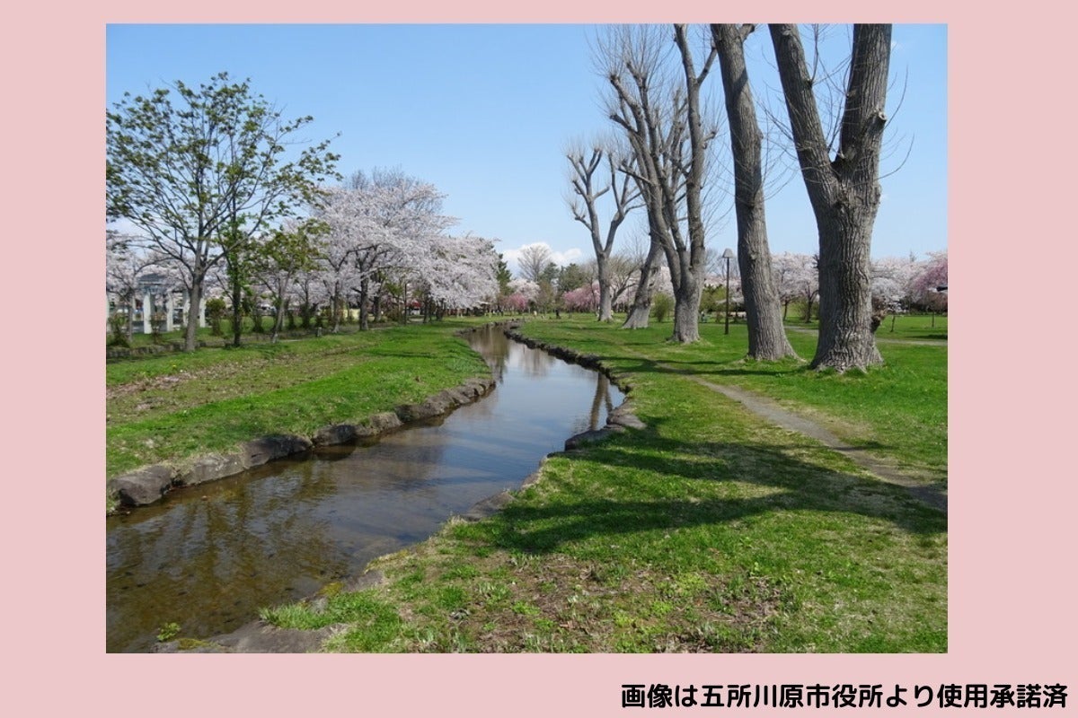 4番目のメイン画像