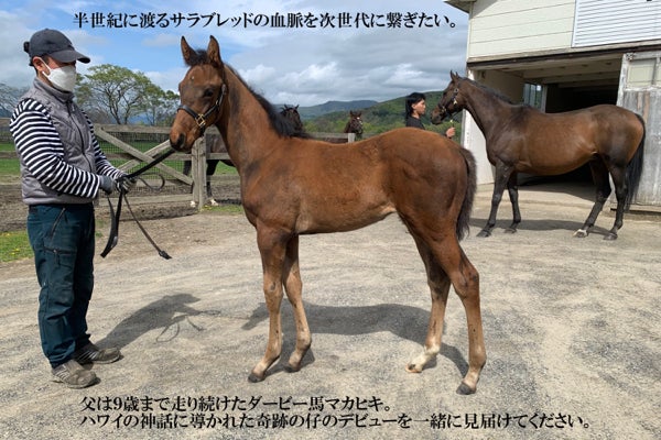 1番目のメイン画像