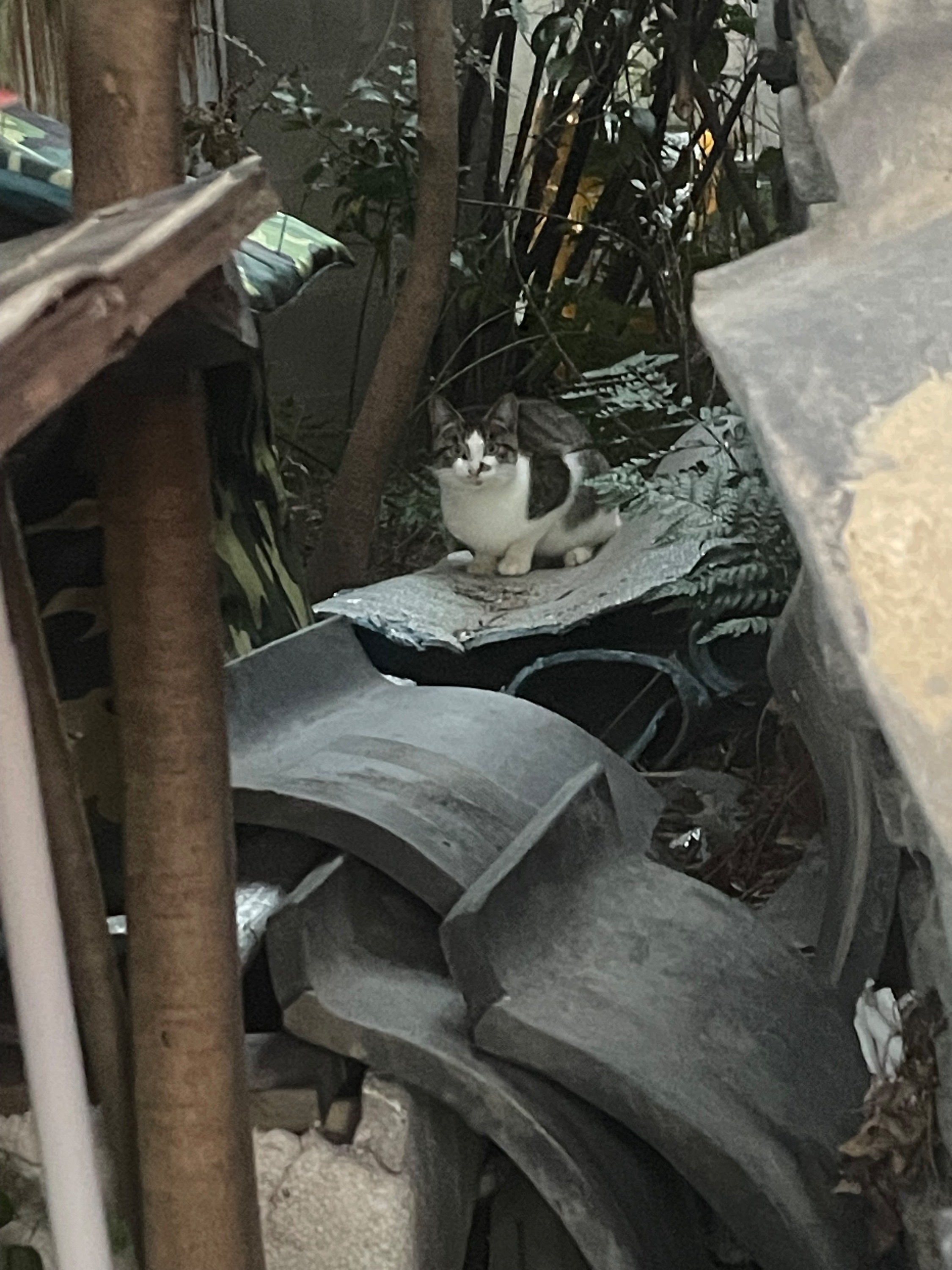 3番目のメイン画像