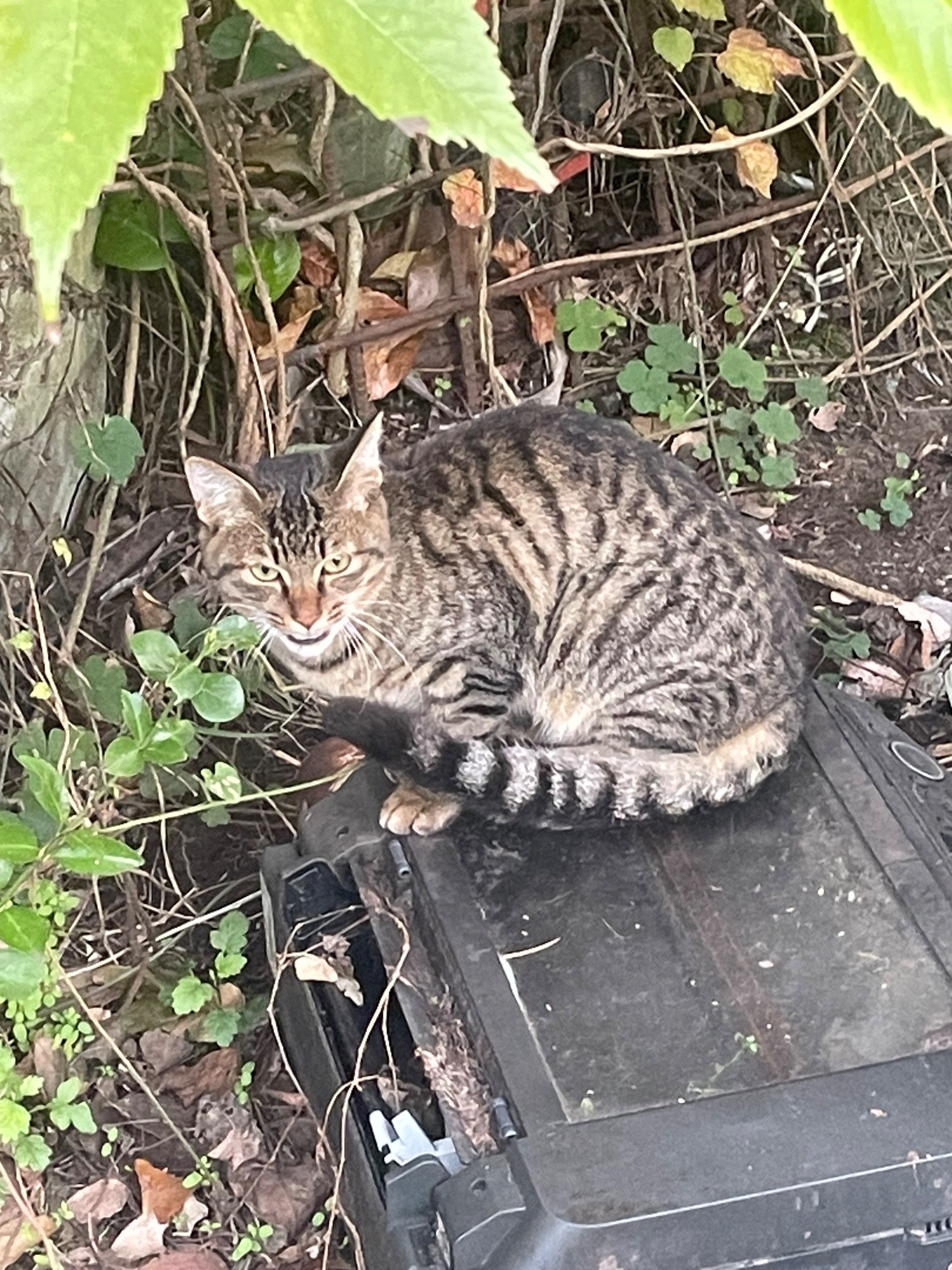 4番目のメイン画像