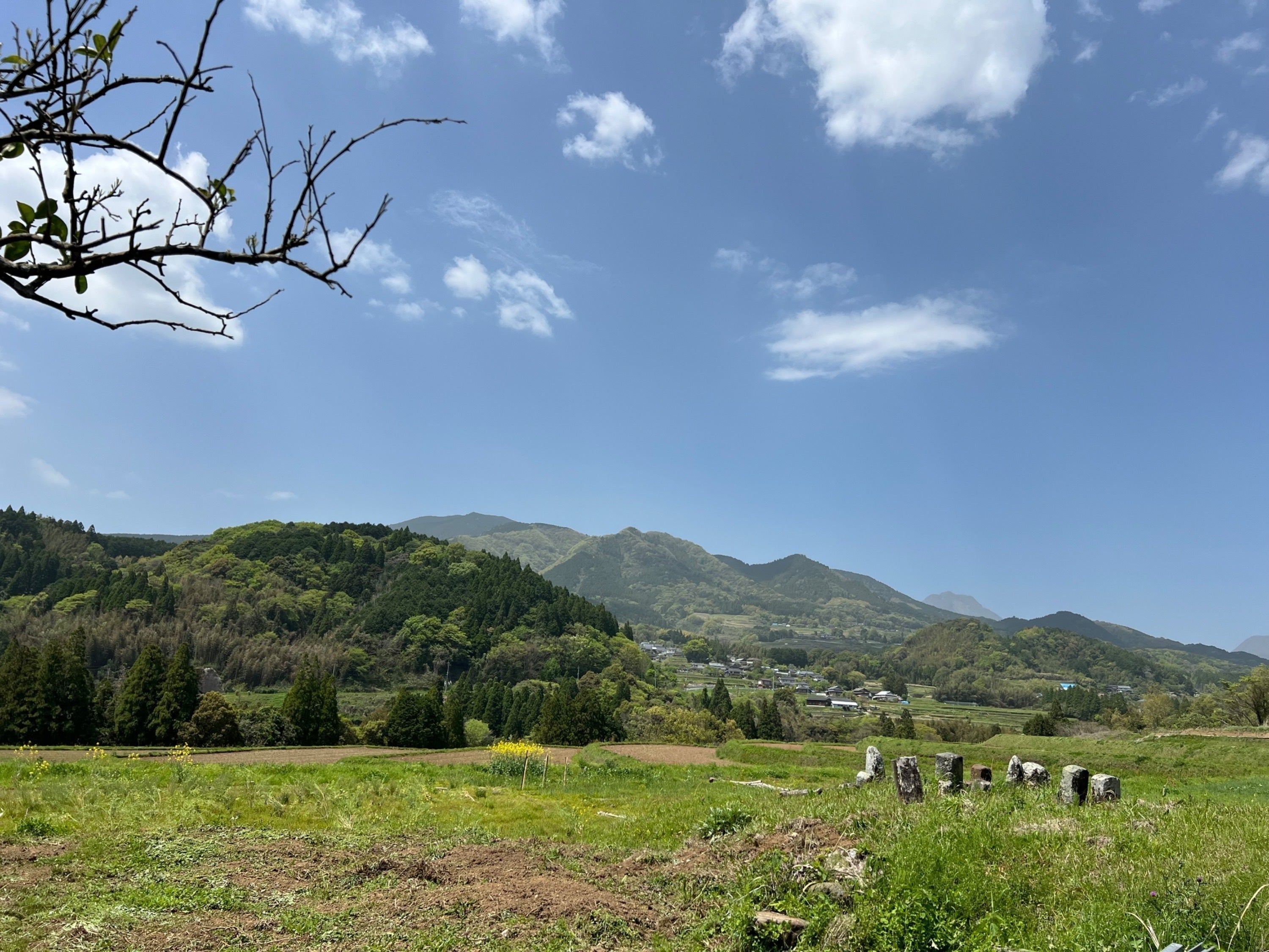 3番目のメイン画像