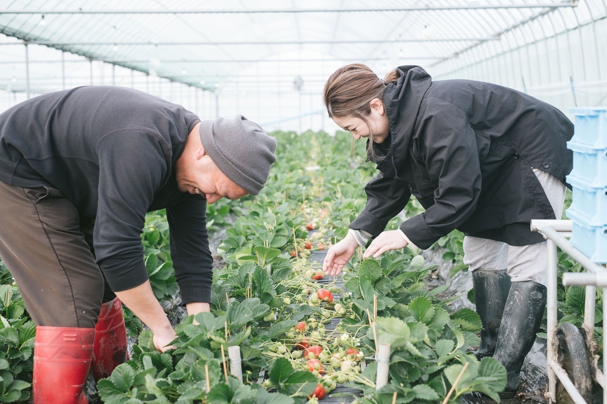 3番目のメイン画像