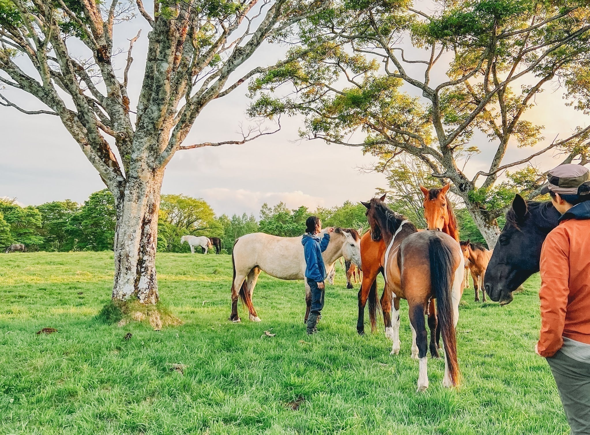 5番目のメイン画像