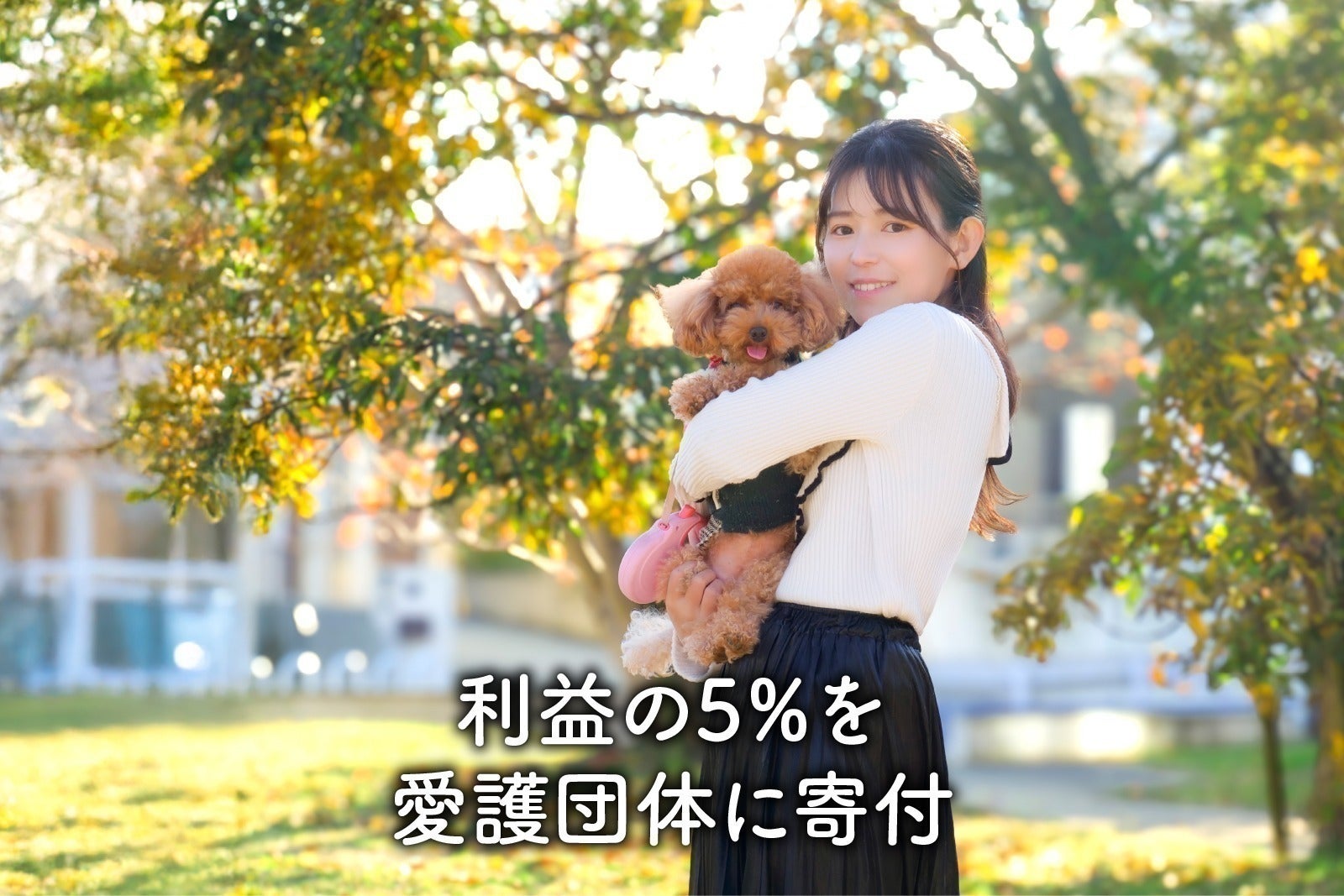 5番目のメイン画像