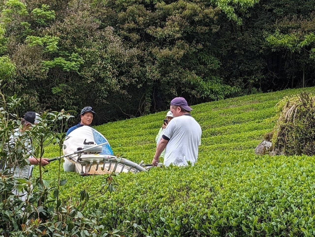 2番目のメイン画像