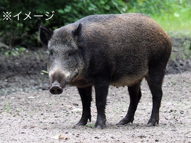 4番目のメイン画像