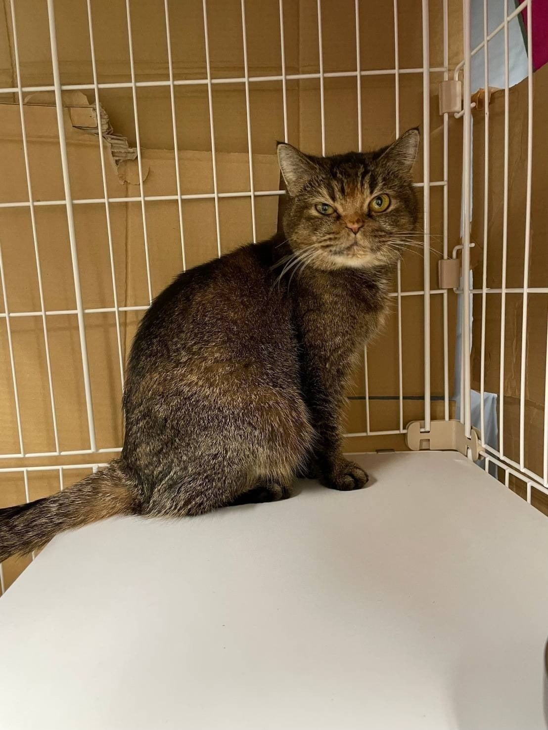 4番目のメイン画像