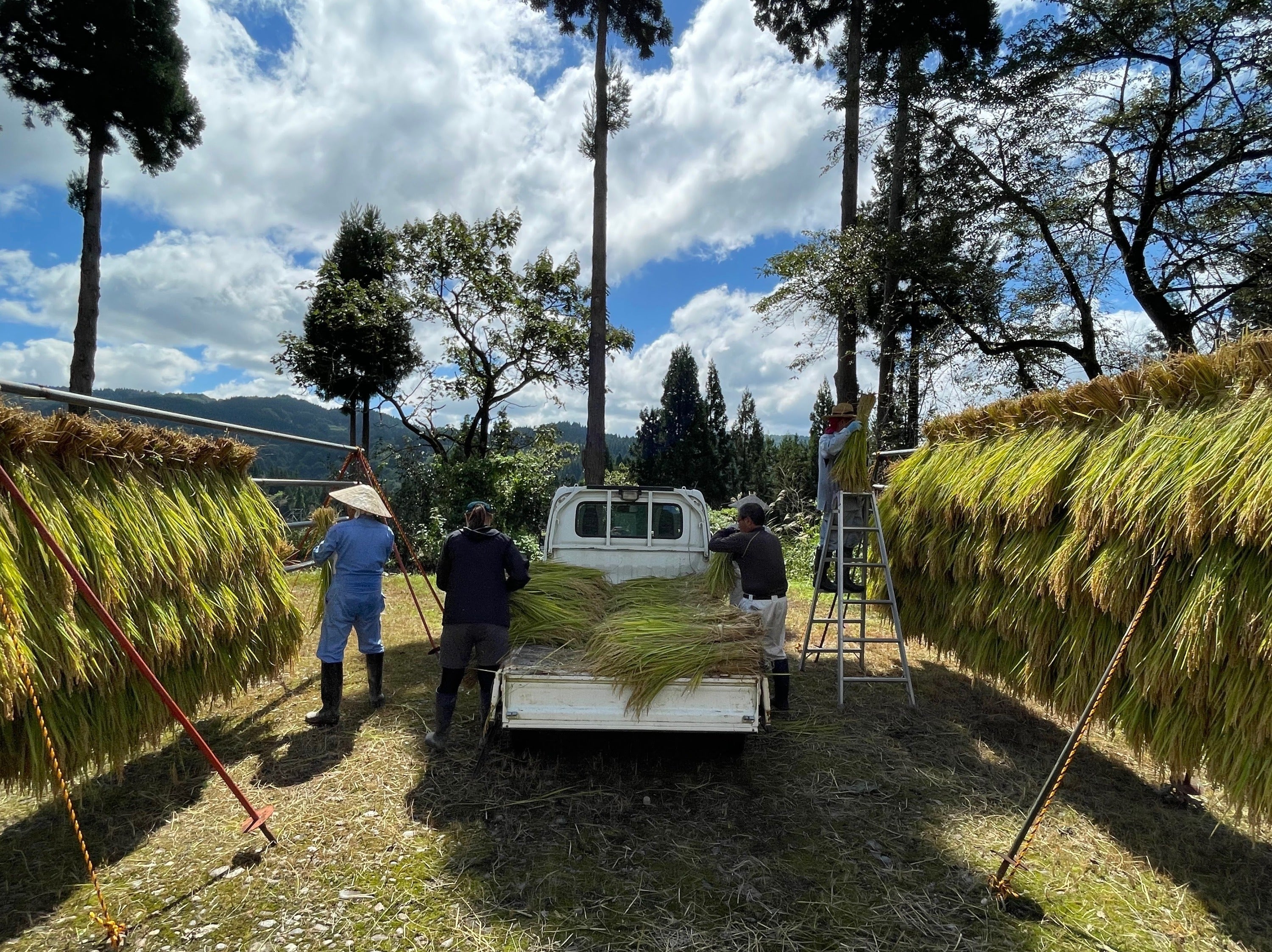 4番目のメイン画像