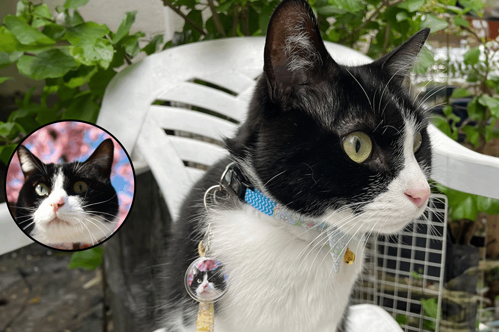 4番目のメイン画像