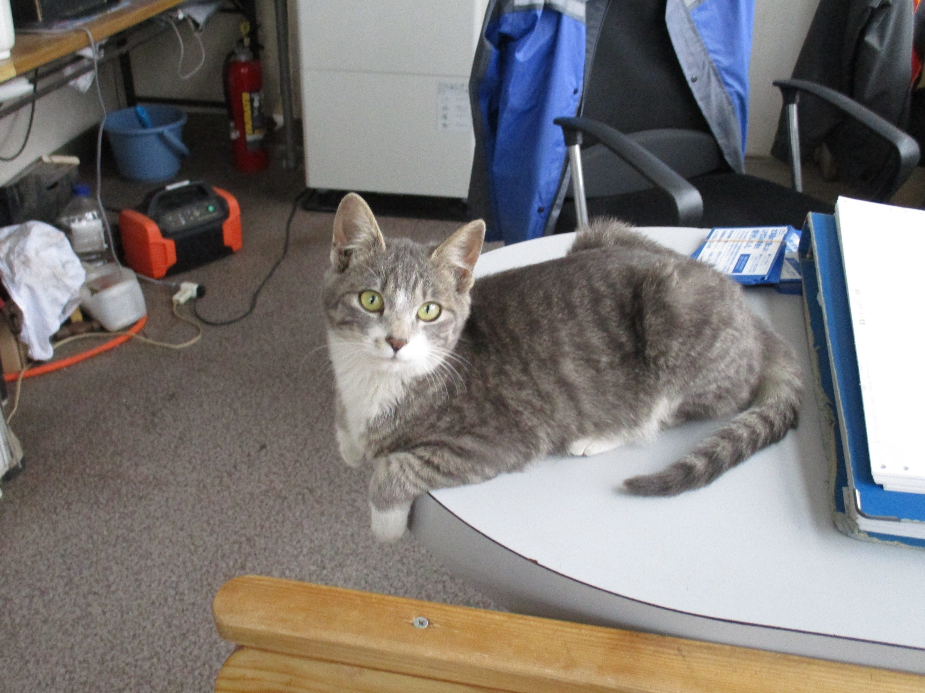 2番目のメイン画像